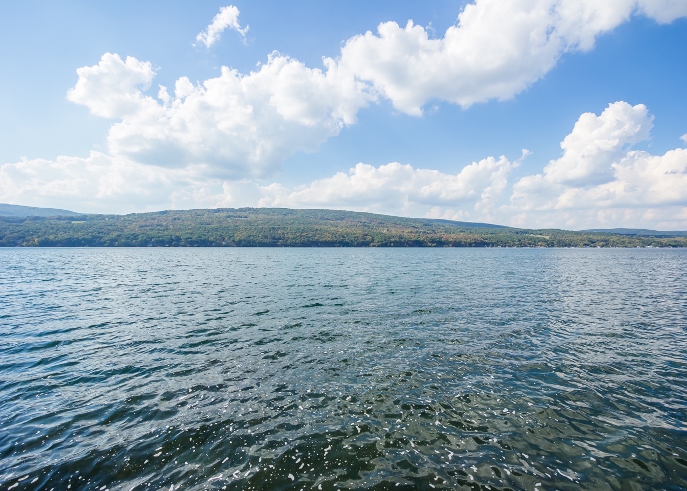 _MG_3759.jpg
