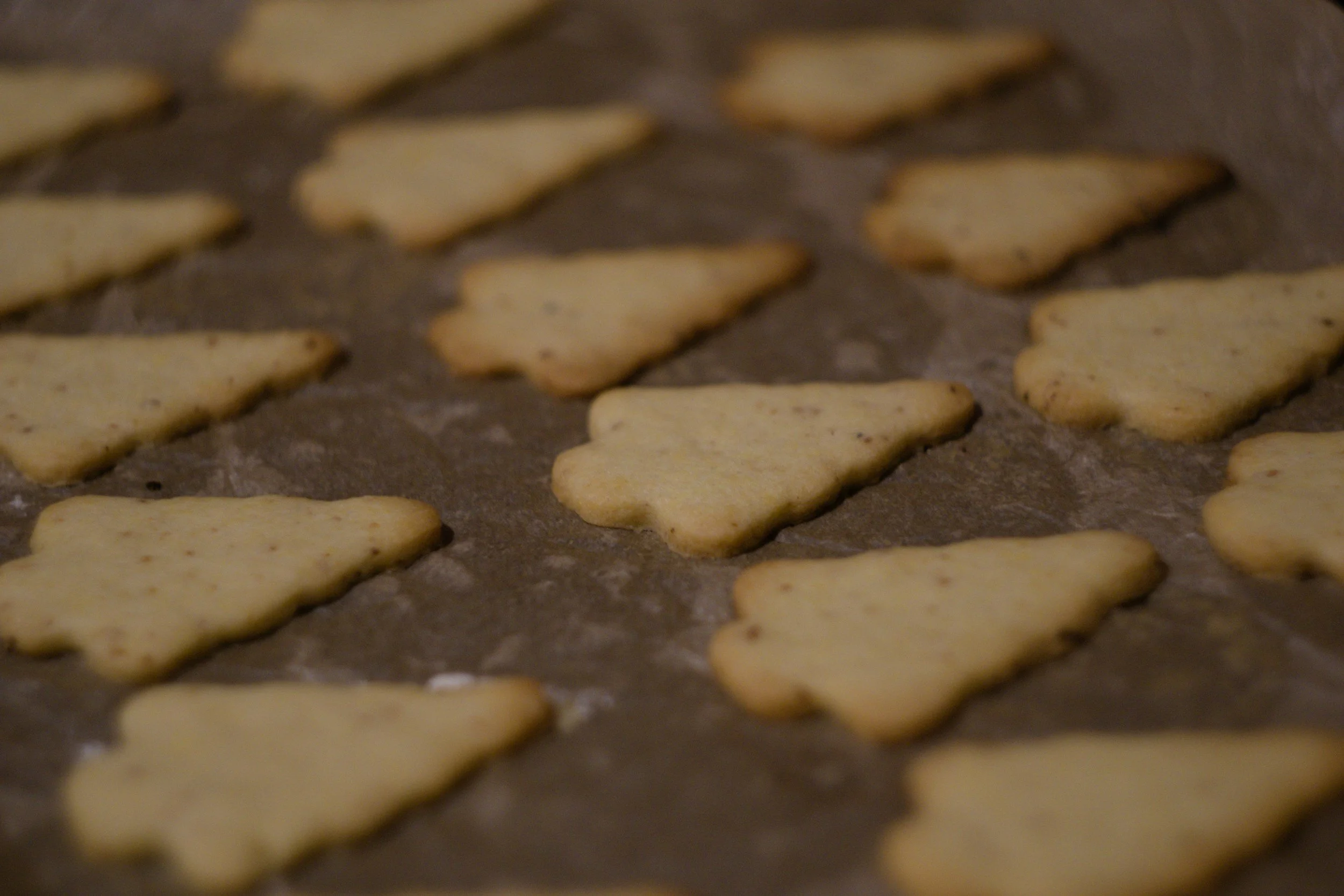 Soft Olive Oil Sugar Christmas Cookies