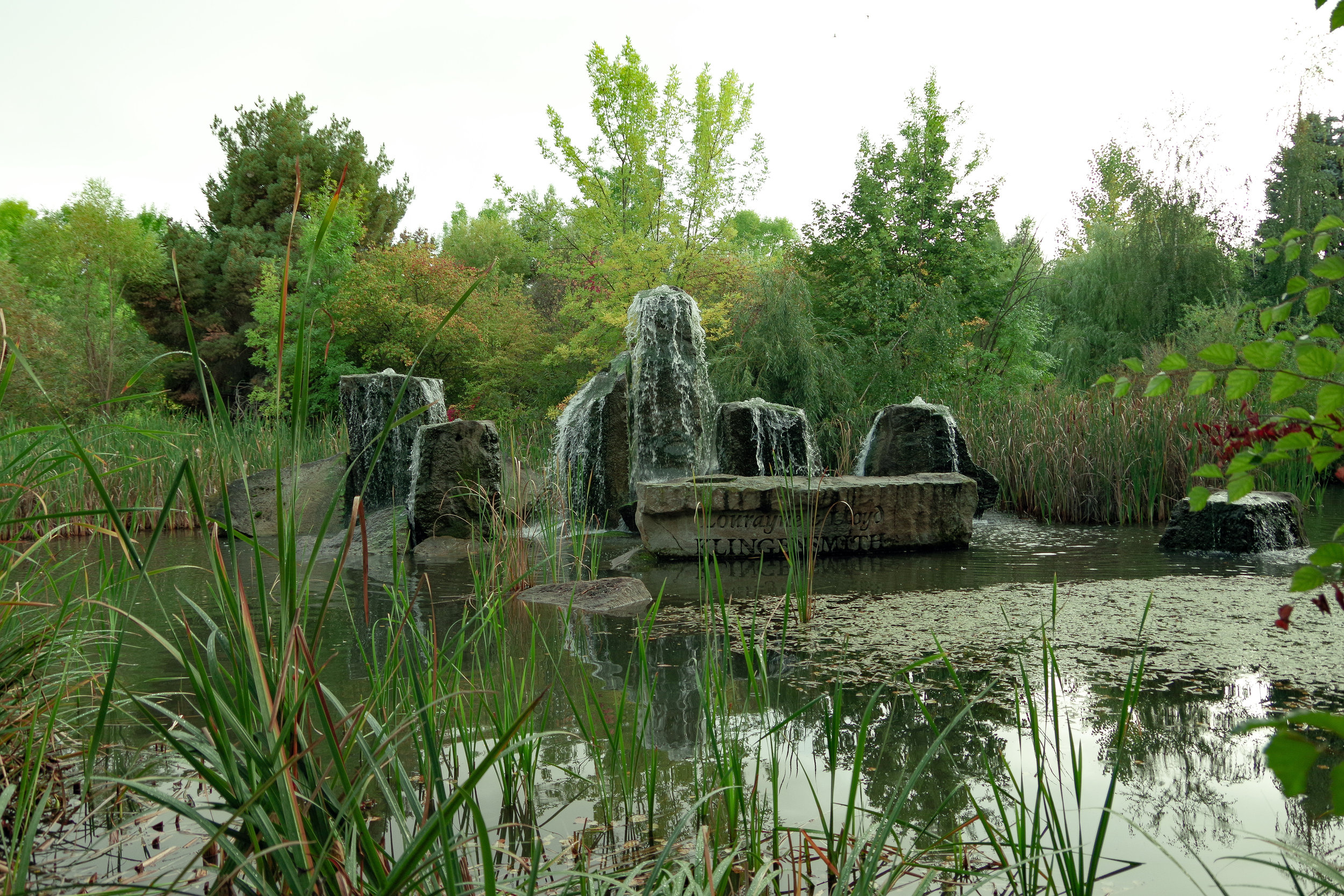 Albertson's Park 10.01.2017-2.jpg