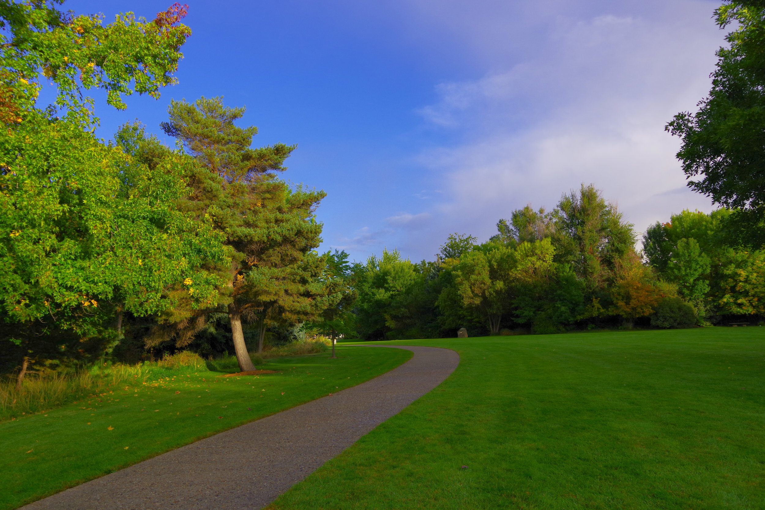 Albertson's Park 10.01.2017-4.jpg