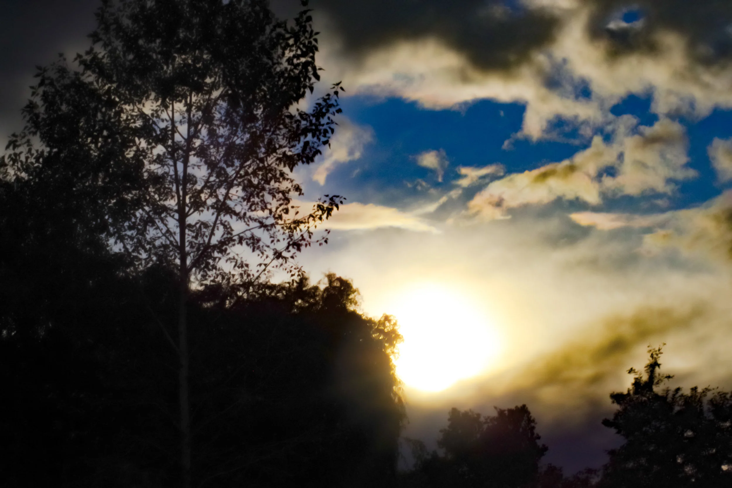 Albertson's Park 10.01.2017-11.jpg