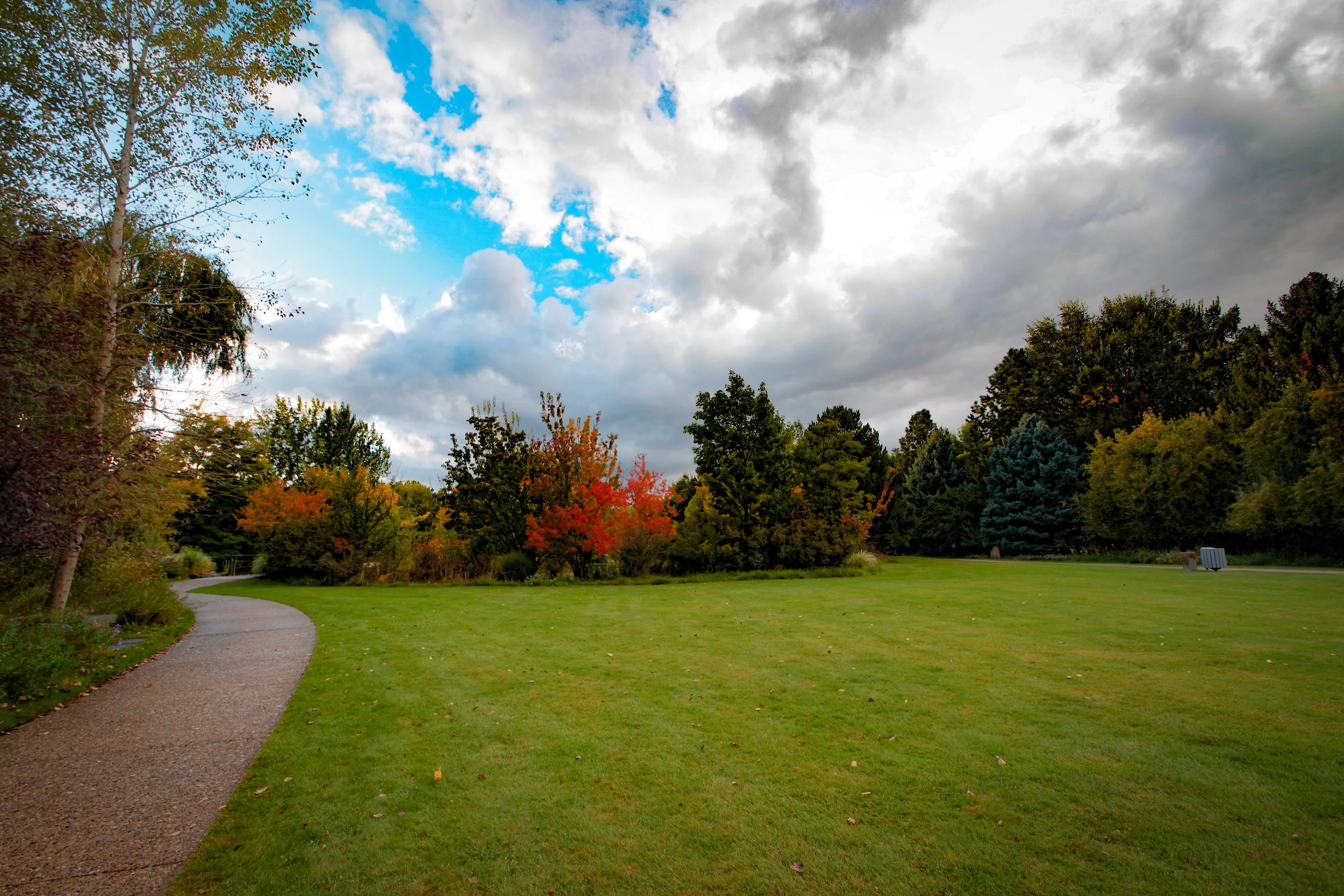 Albertson's Park 10.01.2017-22.jpg