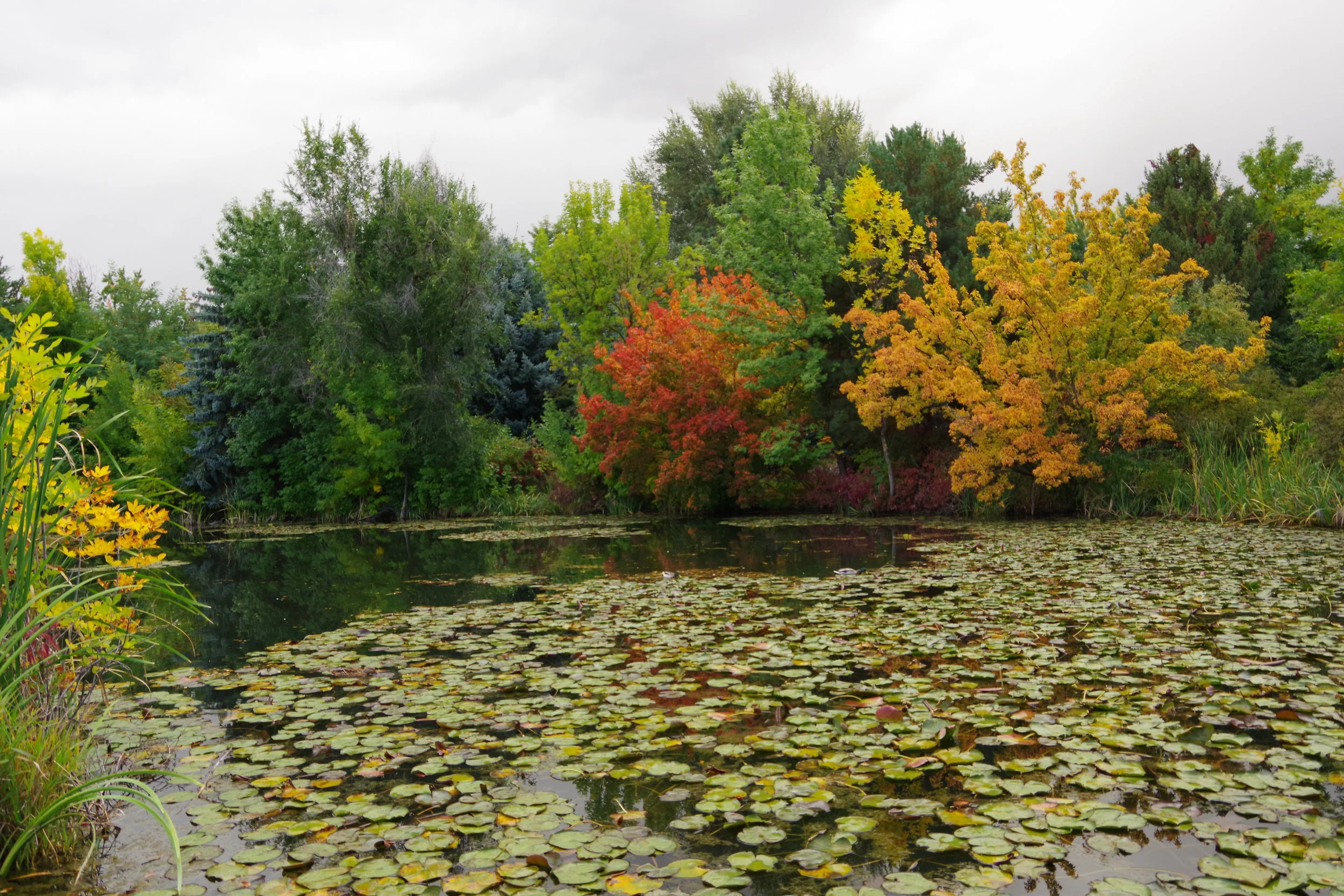 Albertson's Park 10.01.2017-27.jpg