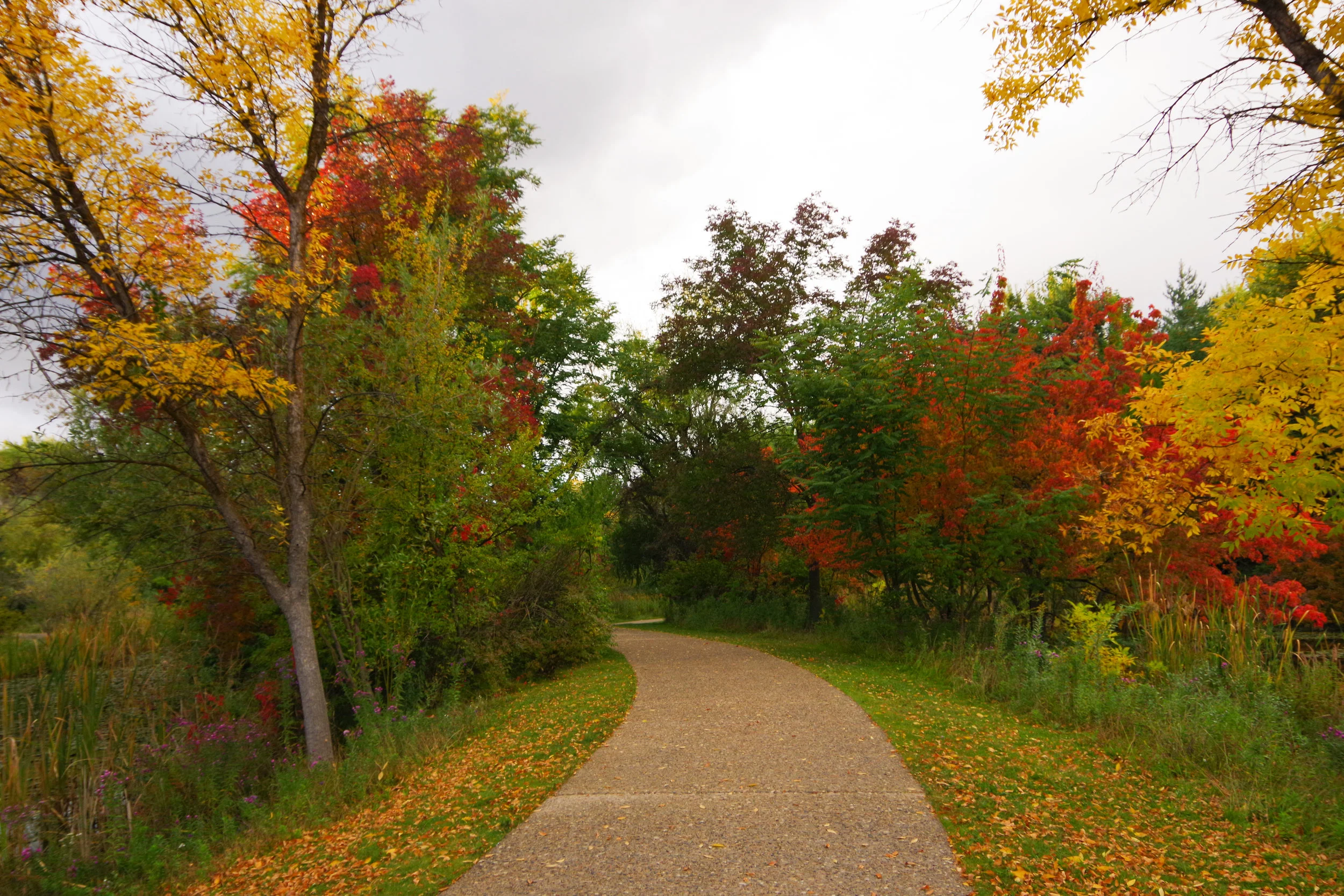 Albertson's Park 10.01.2017-41.jpg