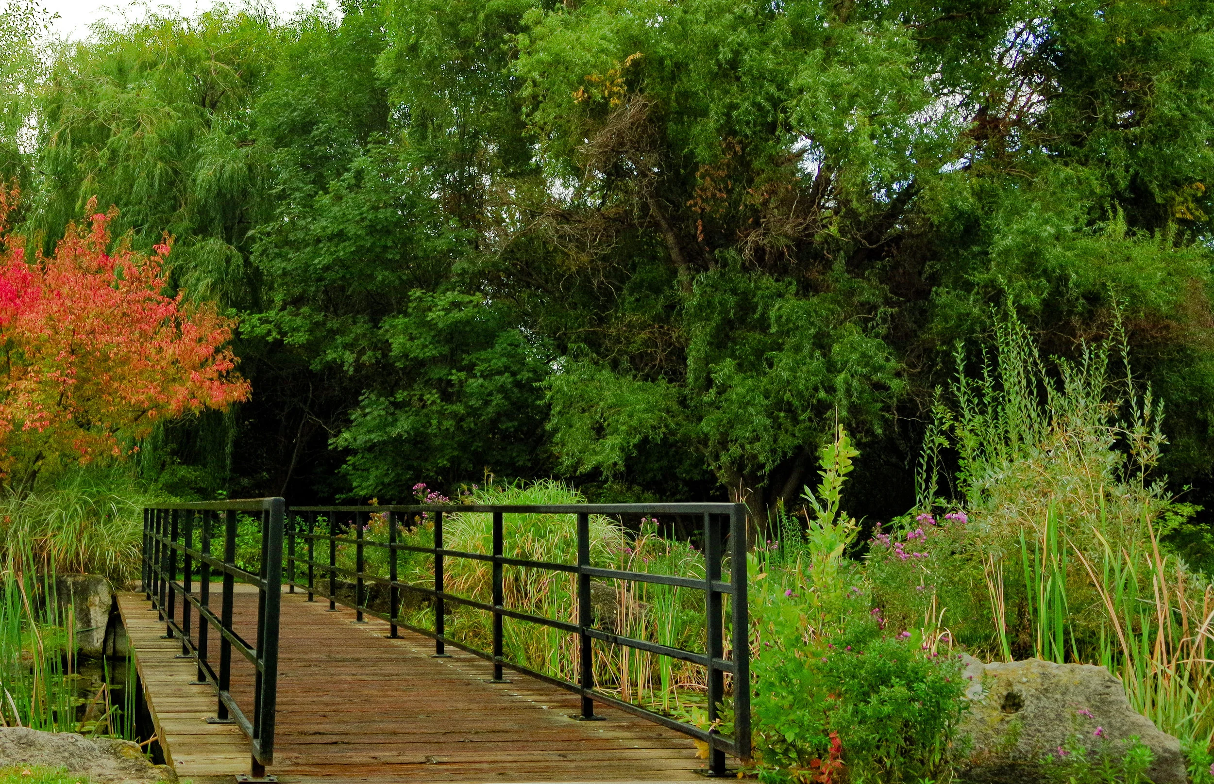 Albertson's Park 10.01.2017-42.jpg