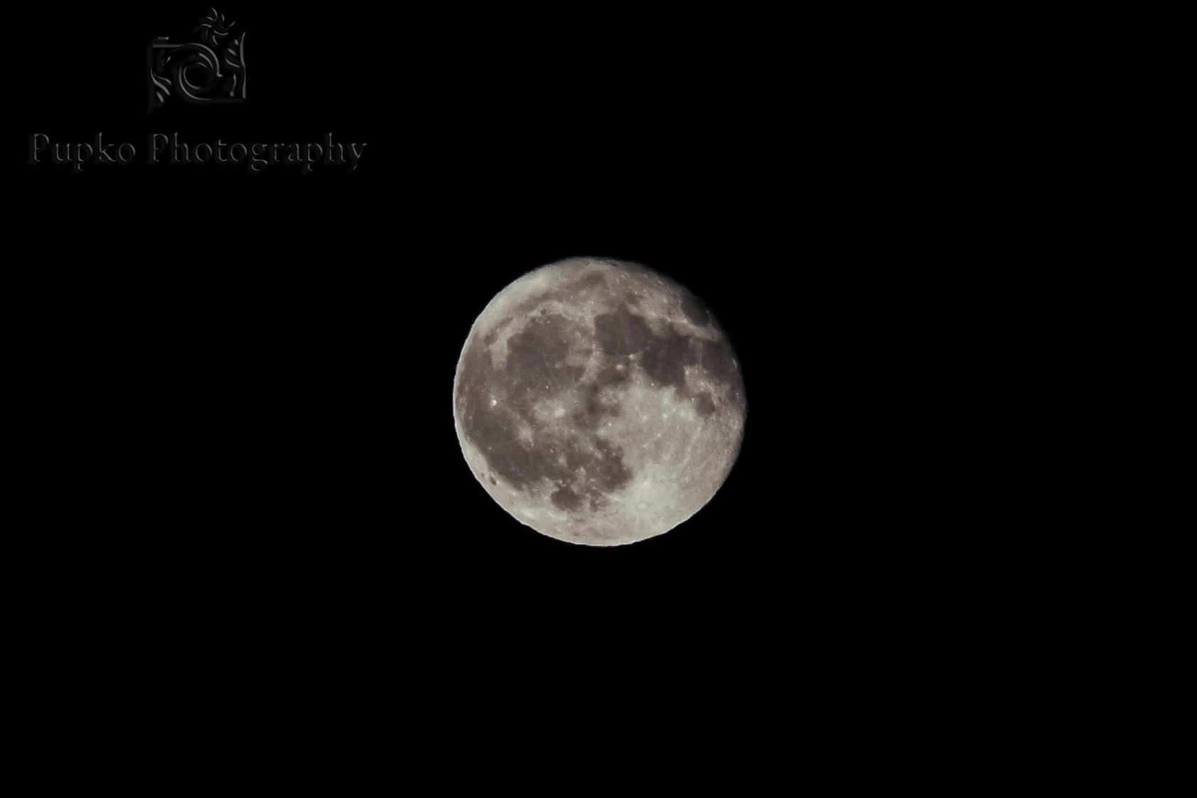 Harvest Moon-0864.jpg