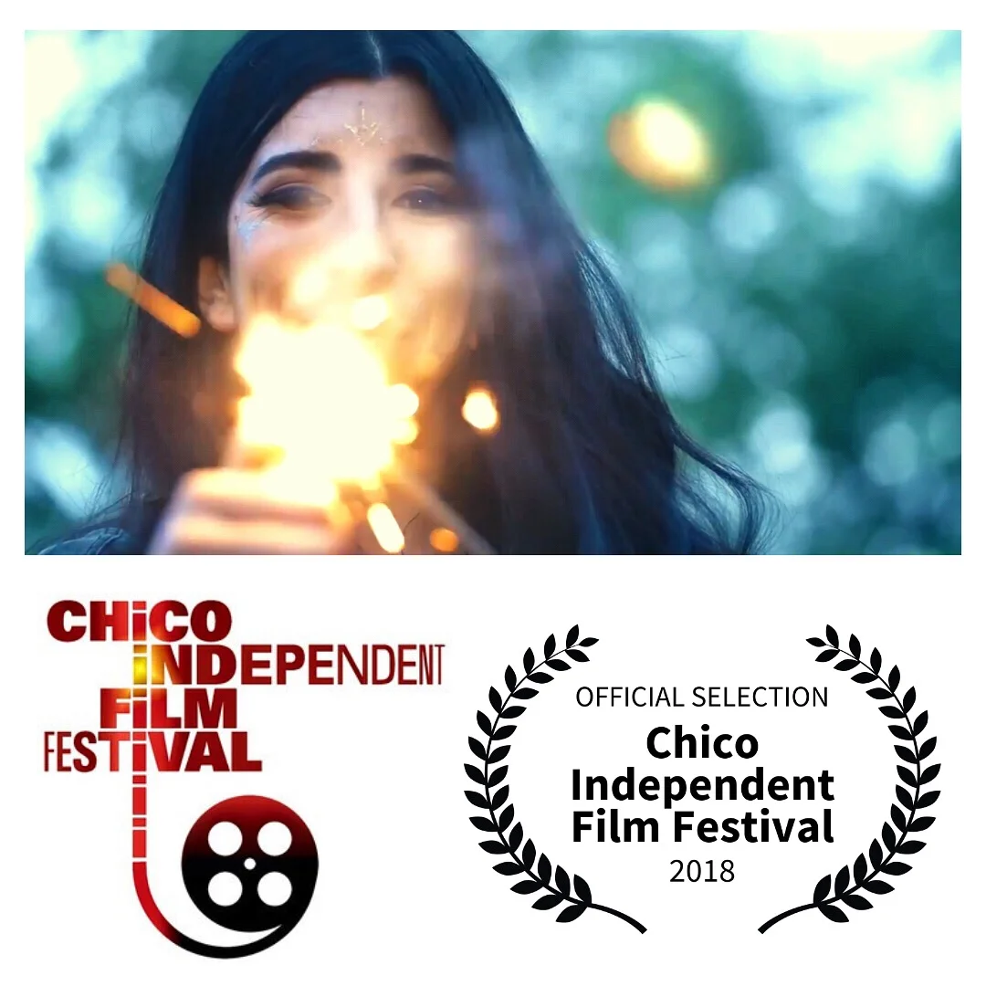 "Delightful" Screening at Chico Independent Film Festival