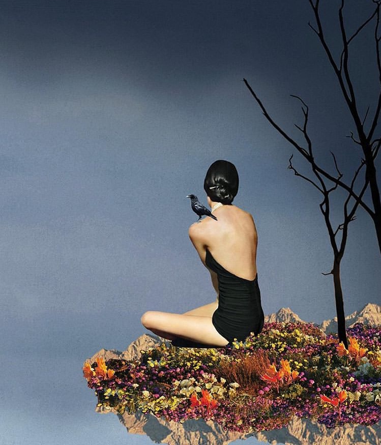 paper collage by @rachel_derum