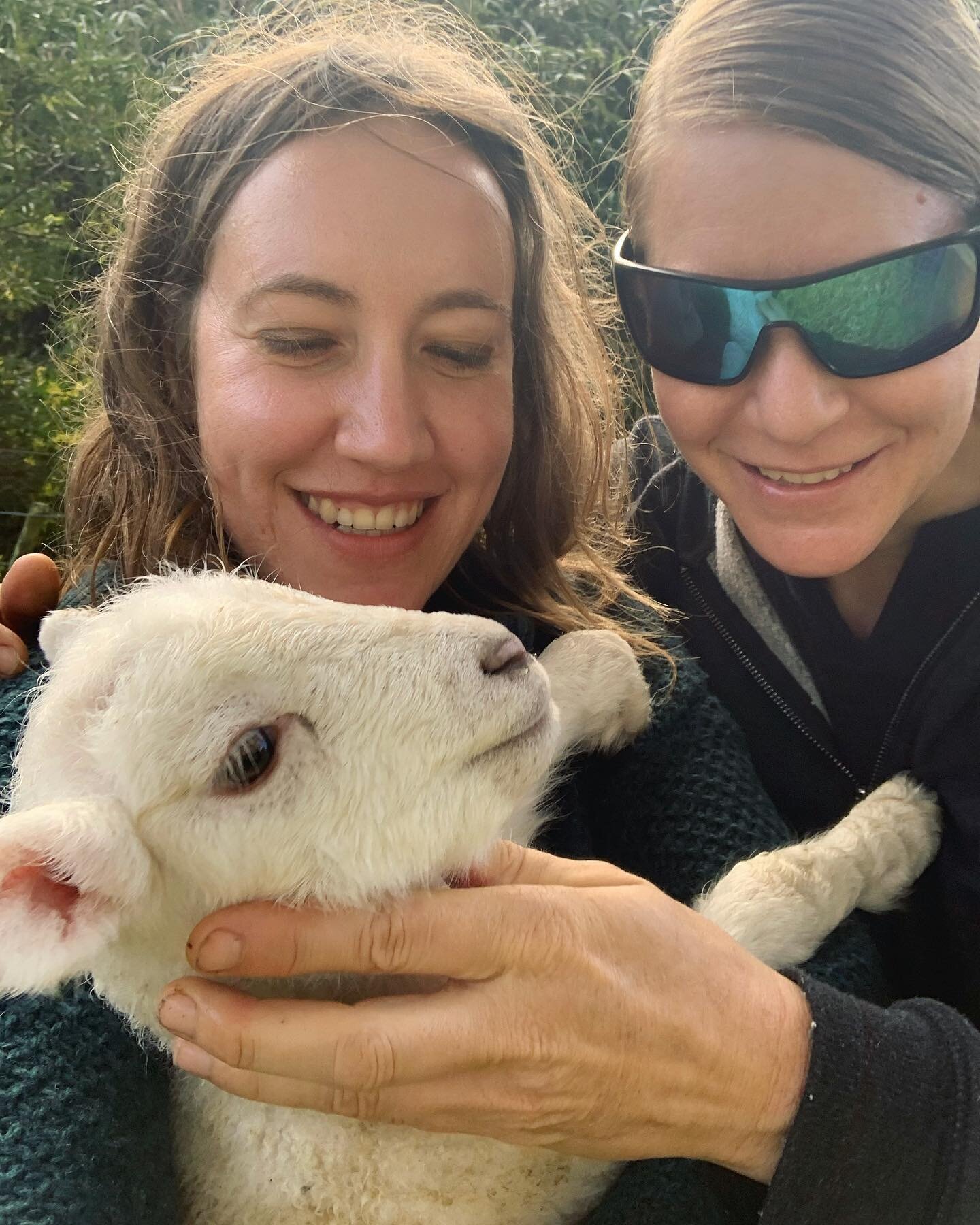 🐑🐑💞💗