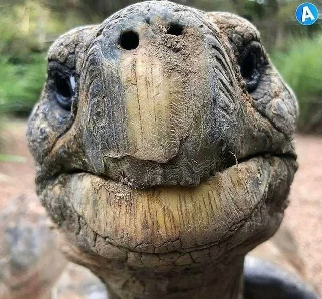 I&rsquo;m not 💯 where this came from (see A mark) but my friend @mreder29 &lsquo;s mother posted it and I feel like she&rsquo;s channeling the astrology of #today