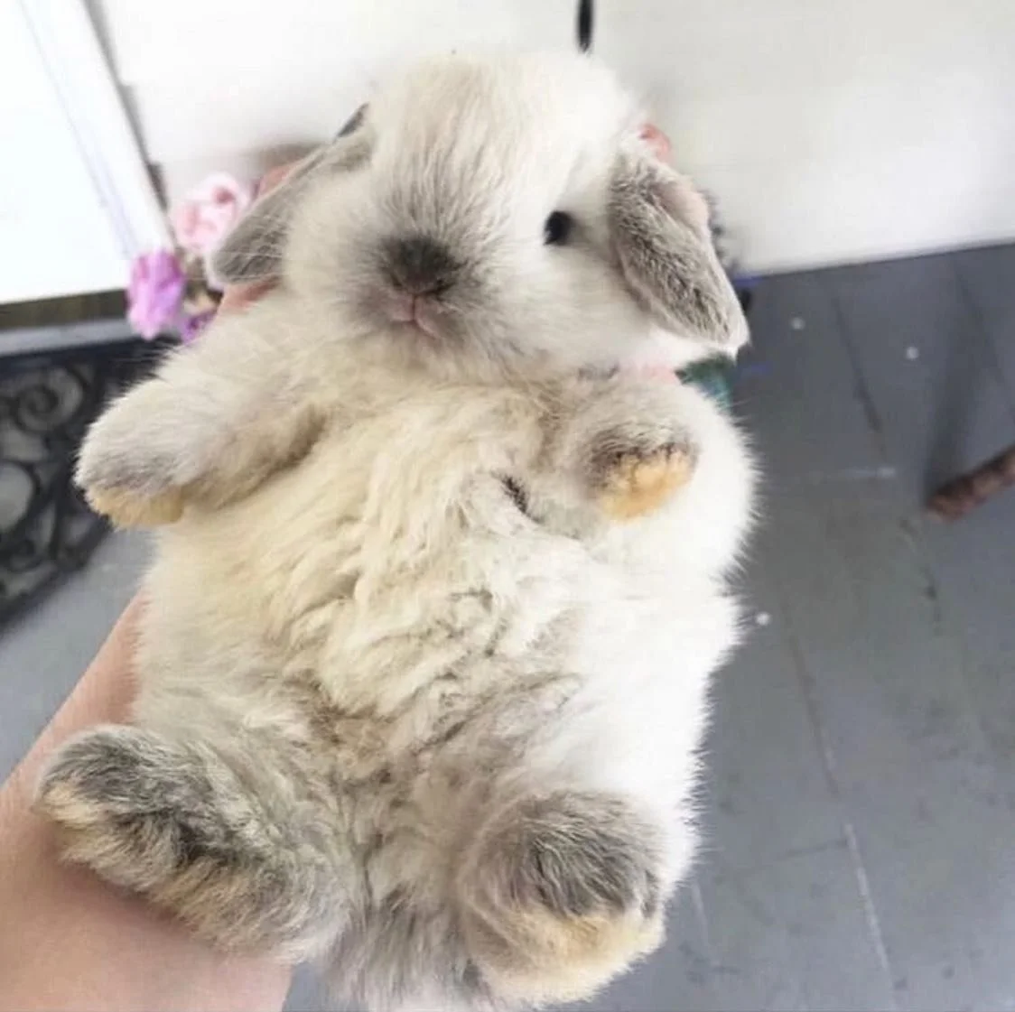 #repost #feels @__s____o 🤍🤍🤍