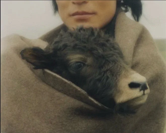 There is beauty in looking with tenderness to our experience. 

&hellip;

Image via  @ignant

Kampot, a nomad herder in Ritoma, with his baby yak, Gansu Tibetan Autonomous Region, 2023.

Captured by @kinbykin.

&hellip;

❤️