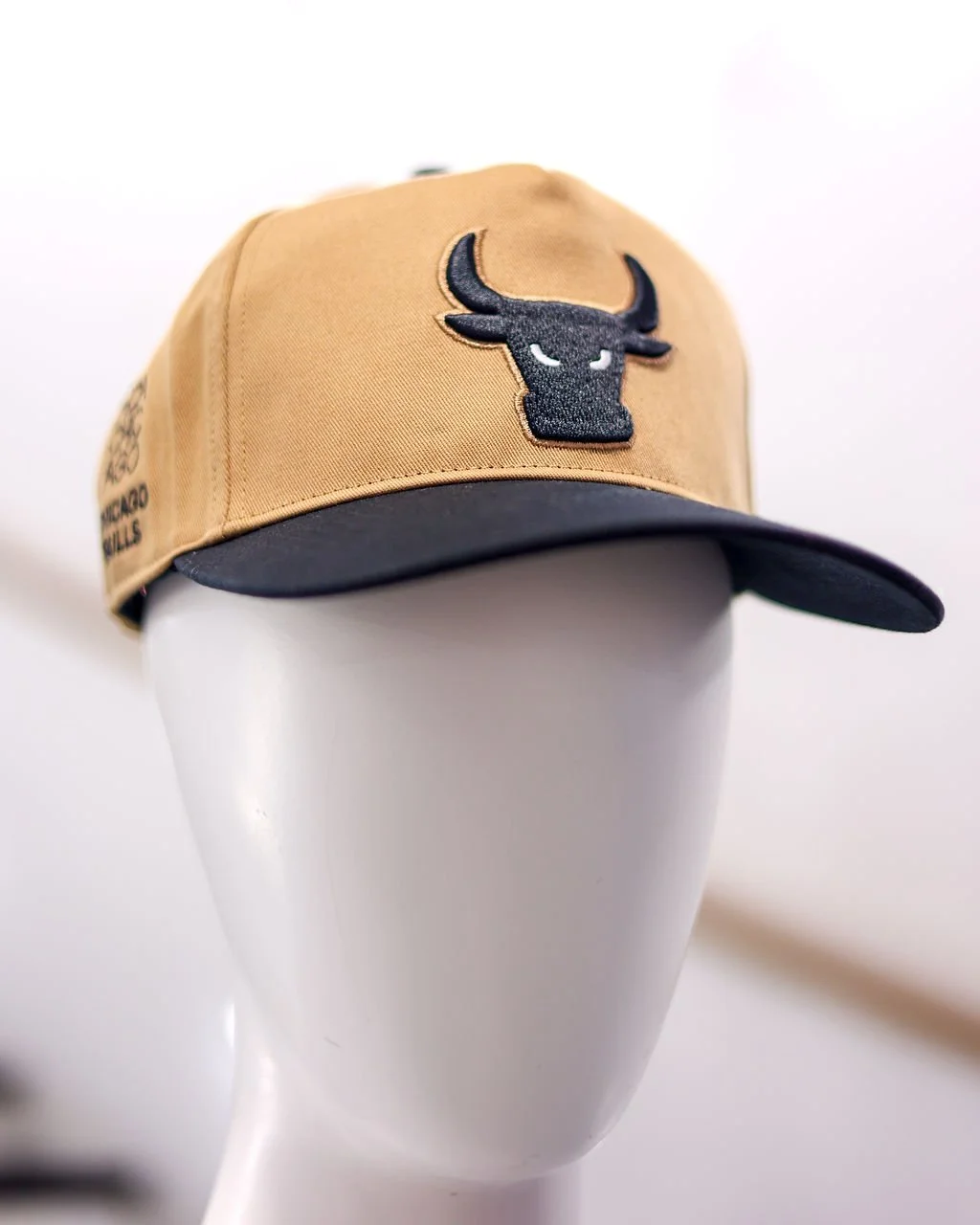 250808_MCA_Bulls-2.jpg