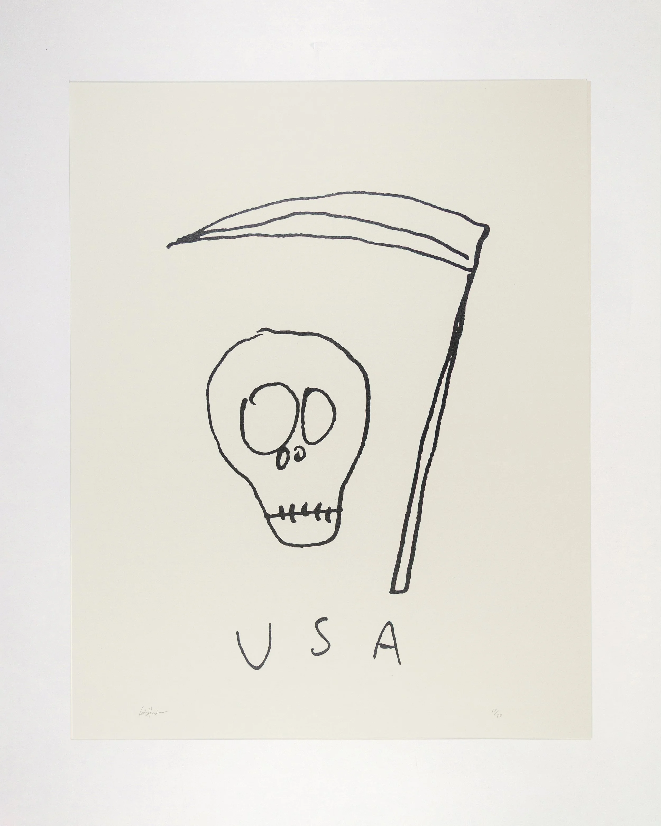 USA PRINT.jpg