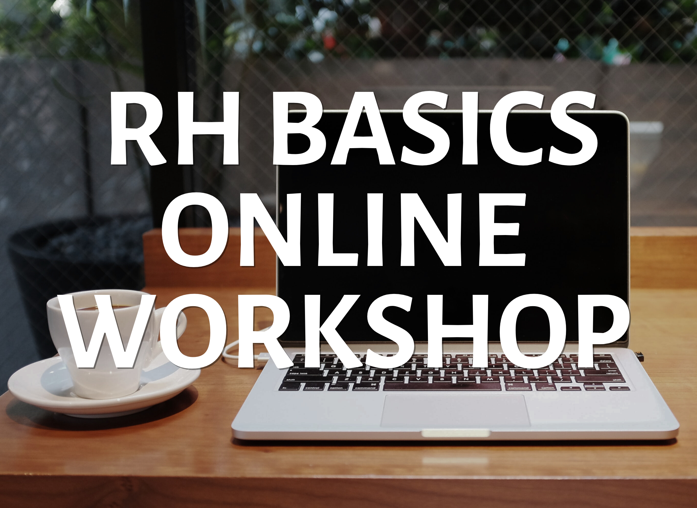 Basics Online Workshop | February 22nd | 9am-1pm PT / 12-4pm ET | $125 