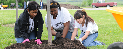 service-project-create.jpg