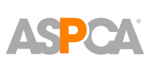 3a.png