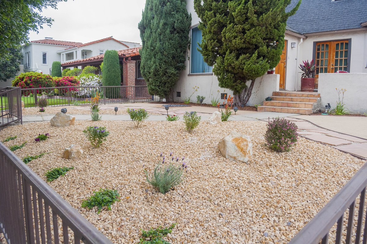 drought landscape design