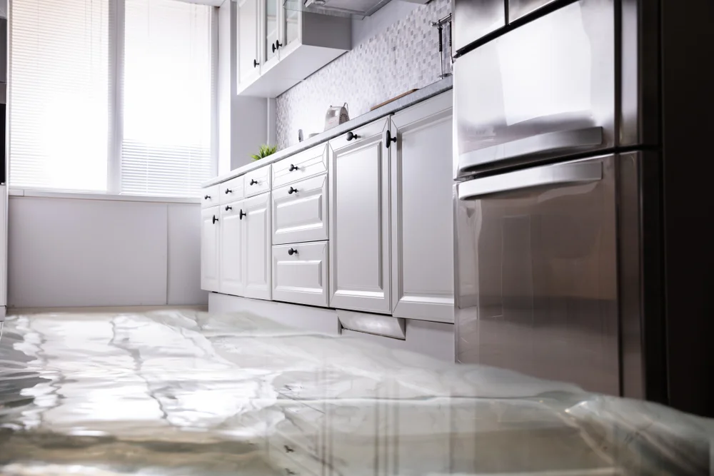 Kitchen water damage repair irvine, ca