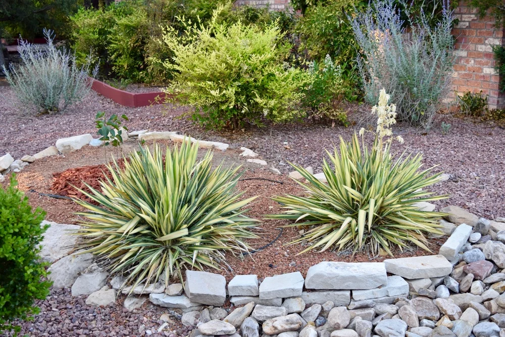Landscape Contractors In Riverside Ca Best Deal Inner City Skyline