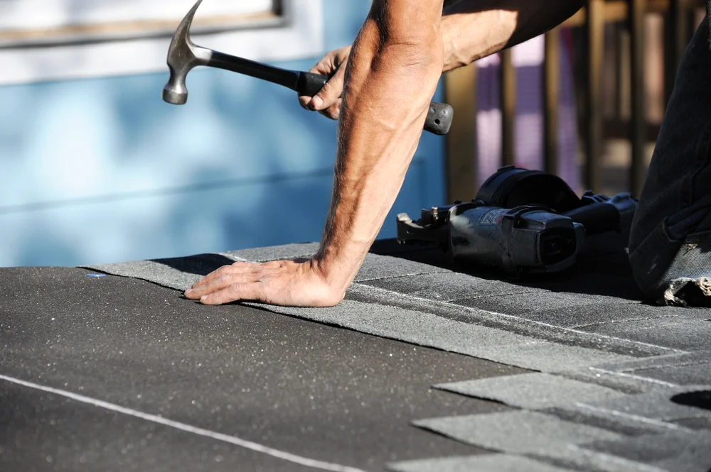 roof 4.jpg