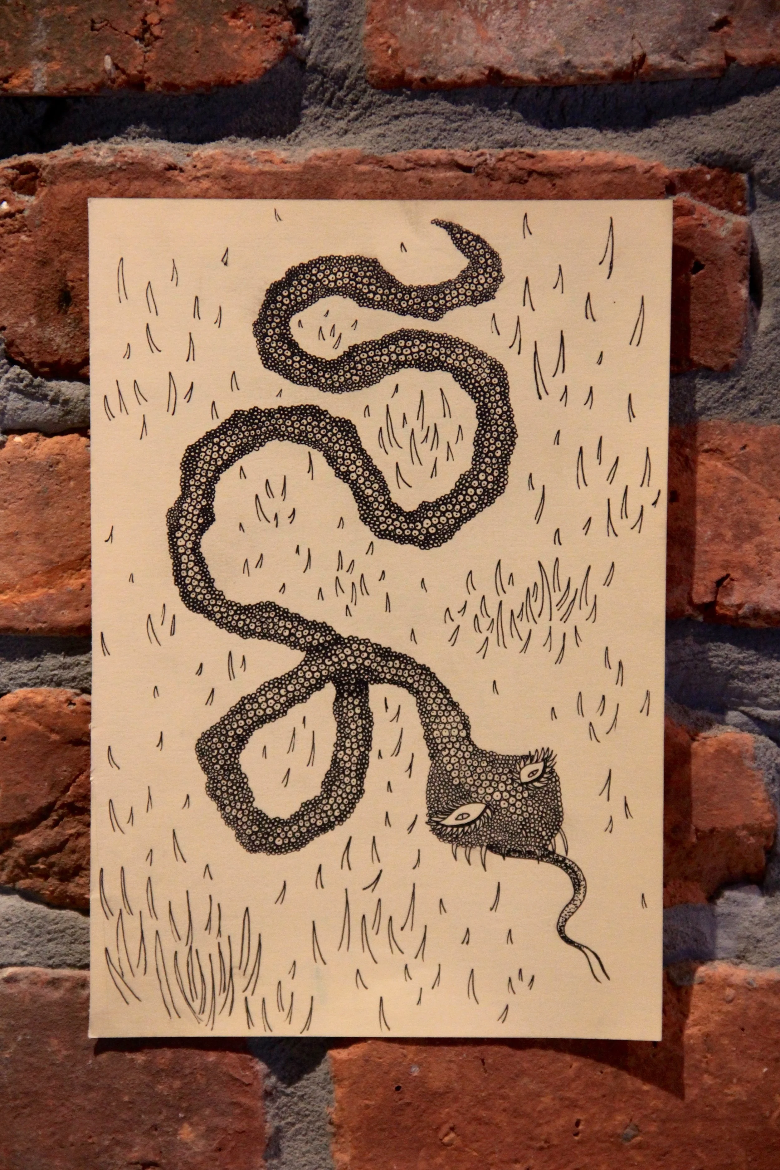 Snake in The Grass