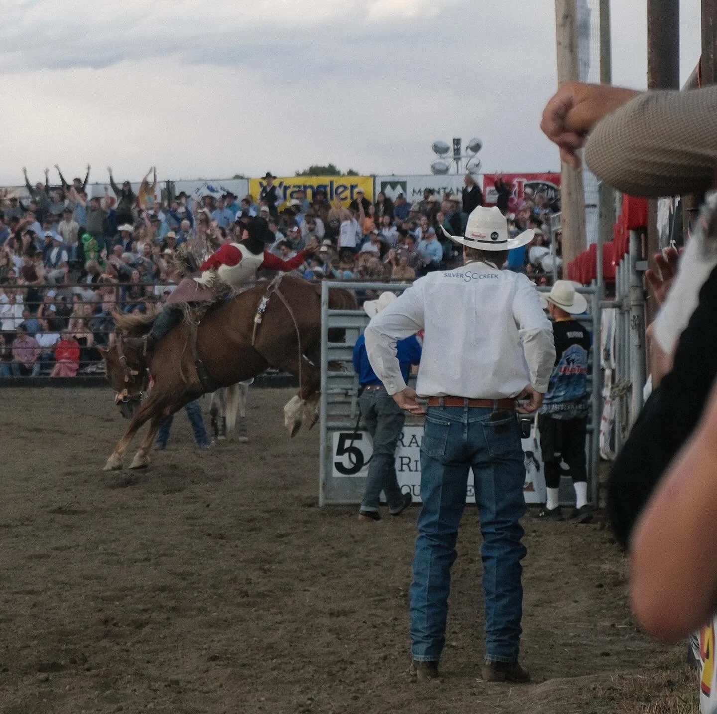 35E2CBA1-48BE-4EC1-8468-77C909D54472 2.JPG