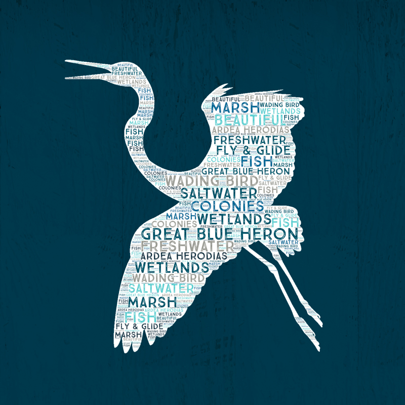BF_ABS_BirdSeries019.jpg