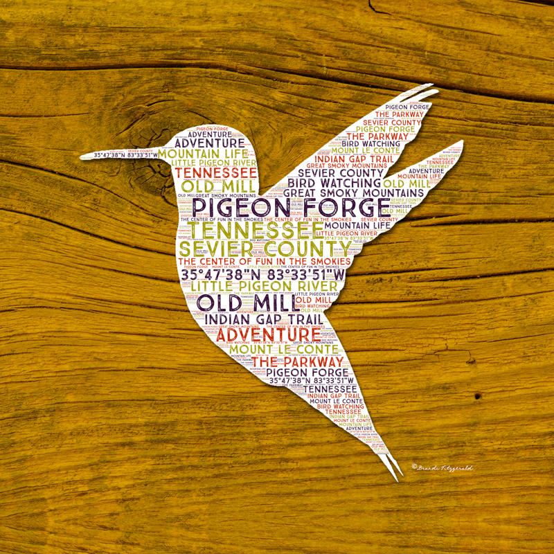 BF_ABS_BirdSeries024.jpg