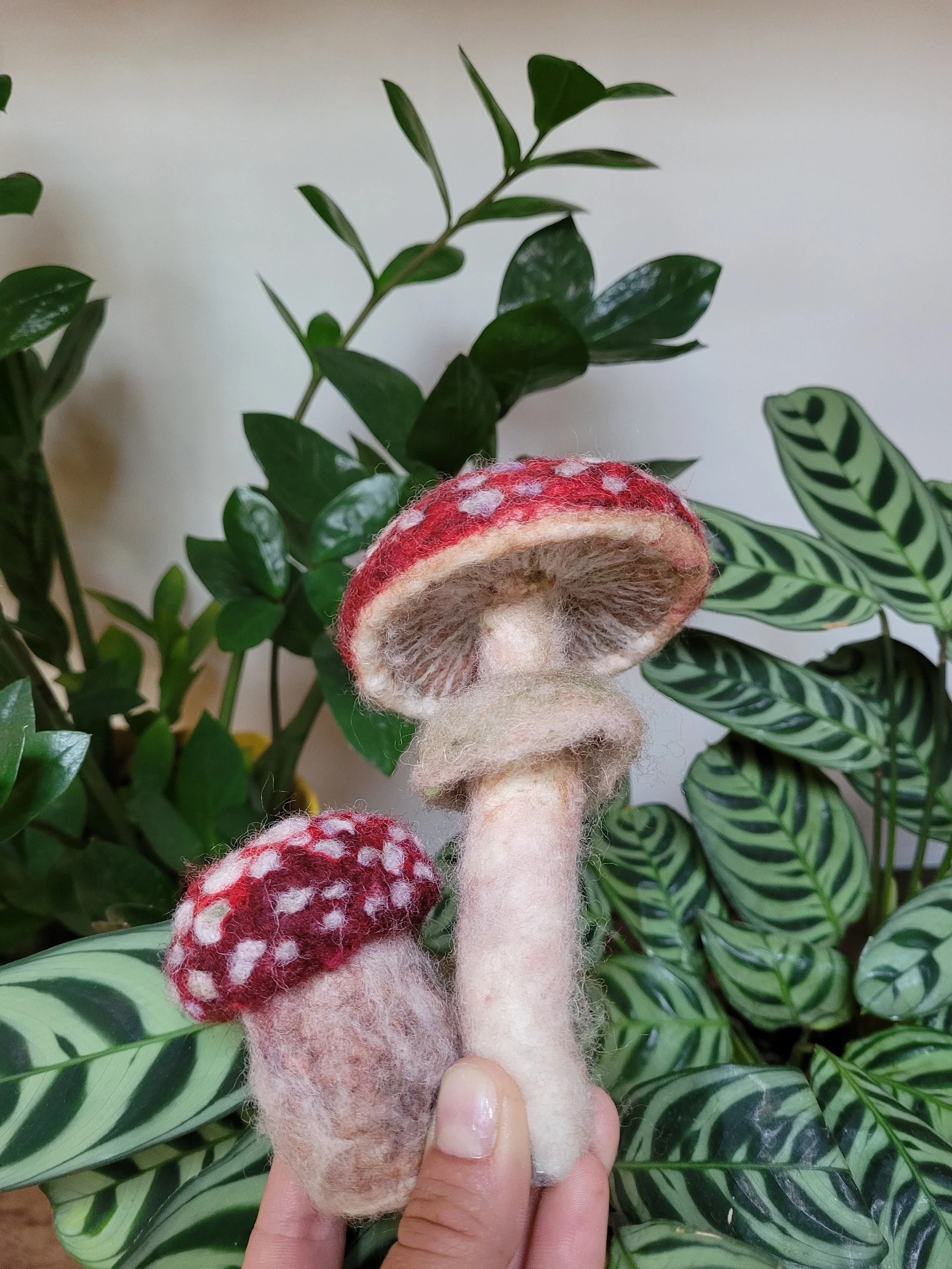 Felted Fungi @Albany Shaker Heritage