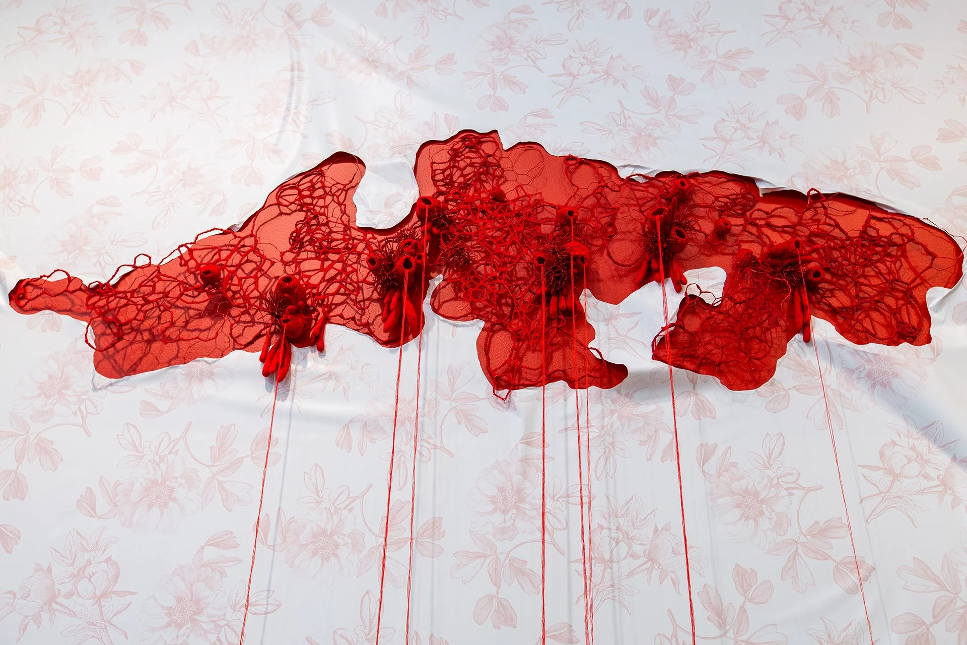 1Mallory at Muhlenberg-24.jpg