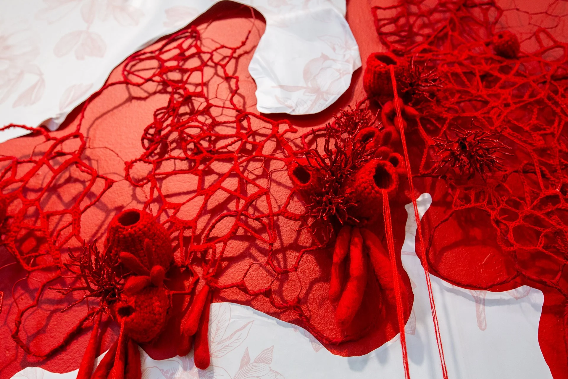 1Mallory at Muhlenberg-29.jpg