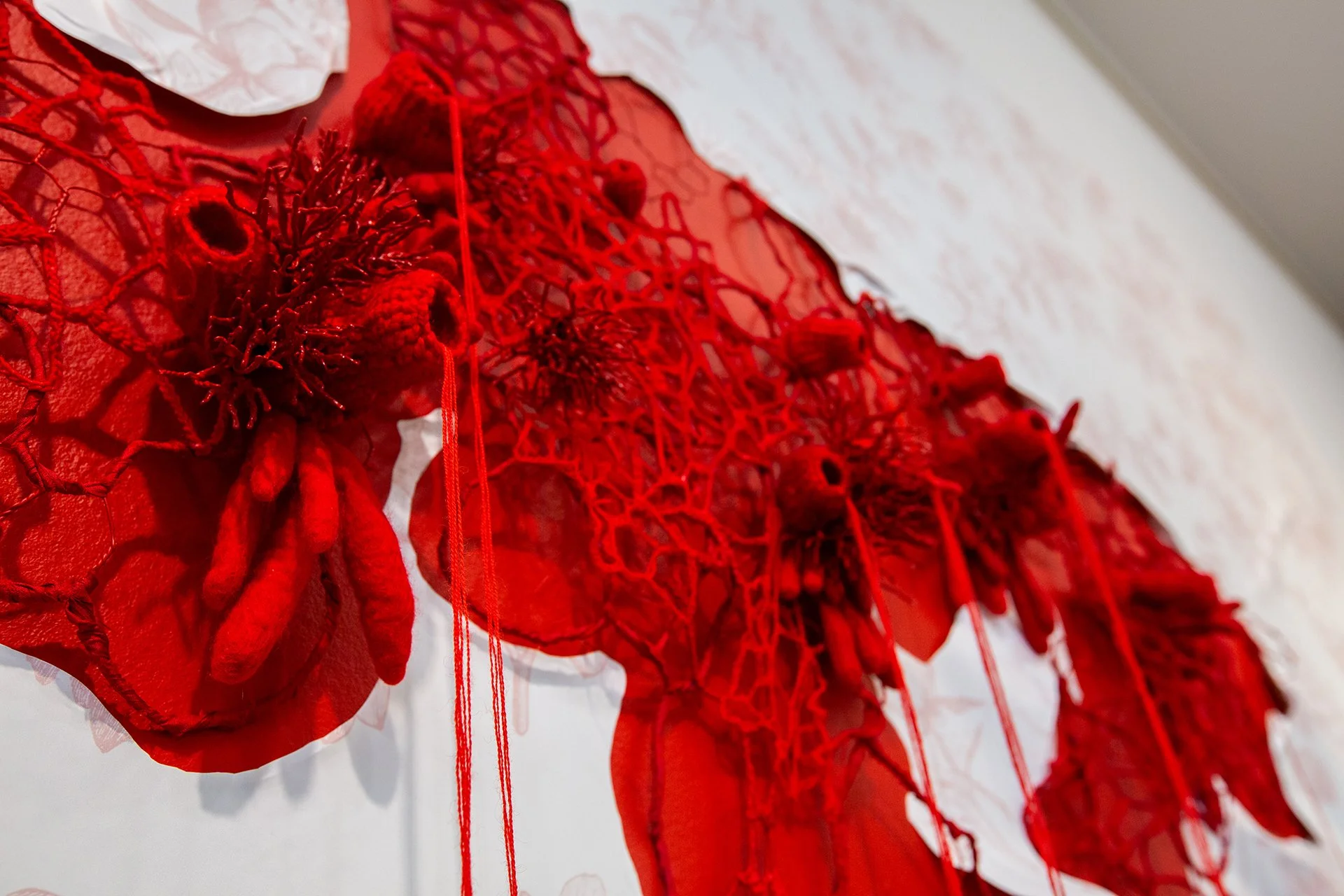 1Mallory at Muhlenberg-31.jpg