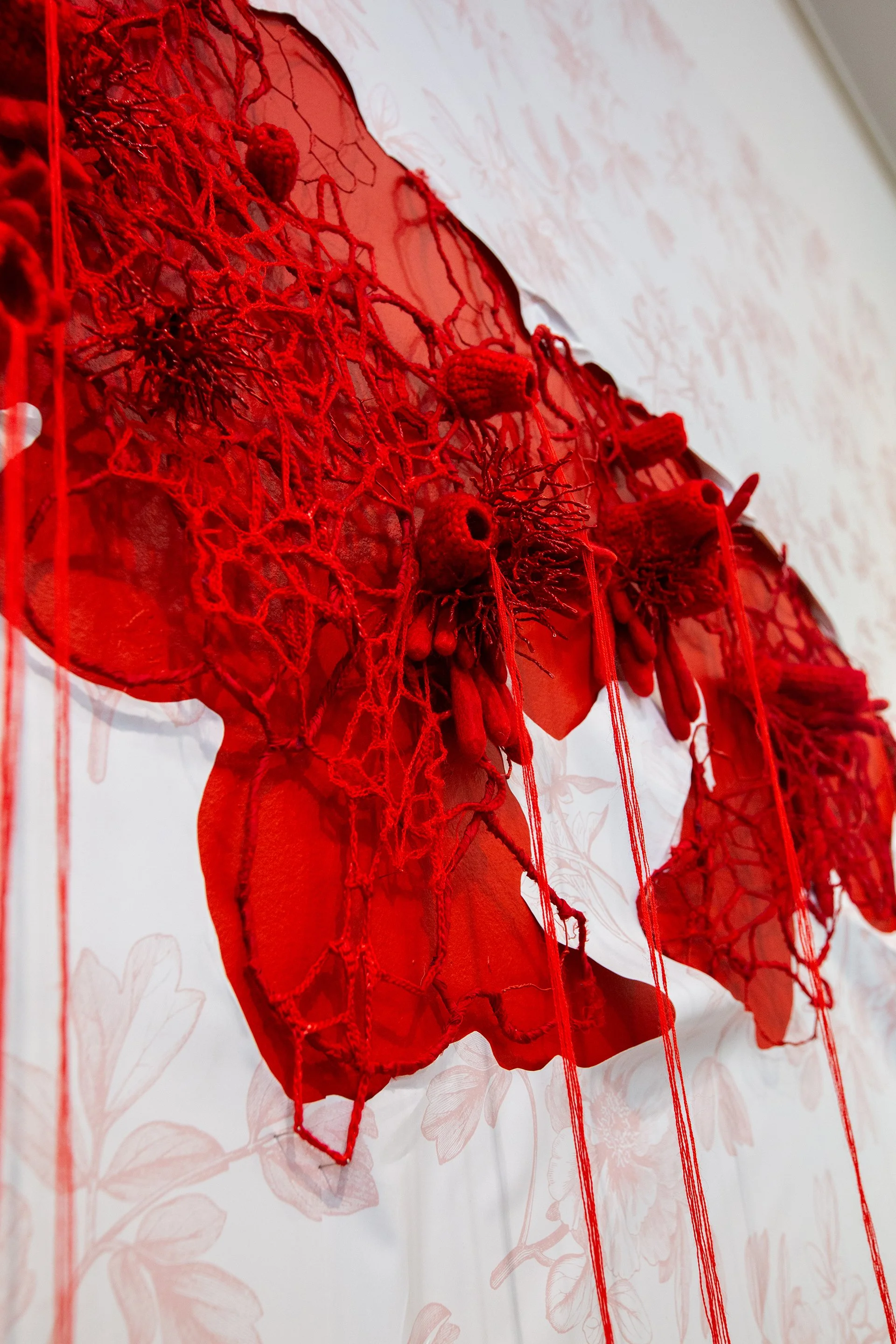 1Mallory at Muhlenberg-30.jpg