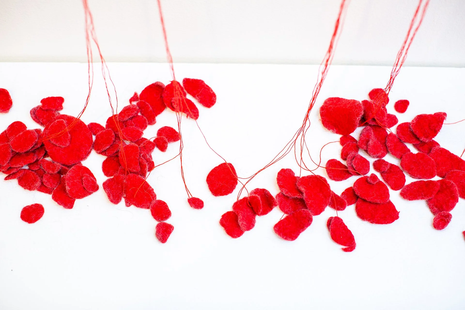 1Mallory at Muhlenberg-182.jpg