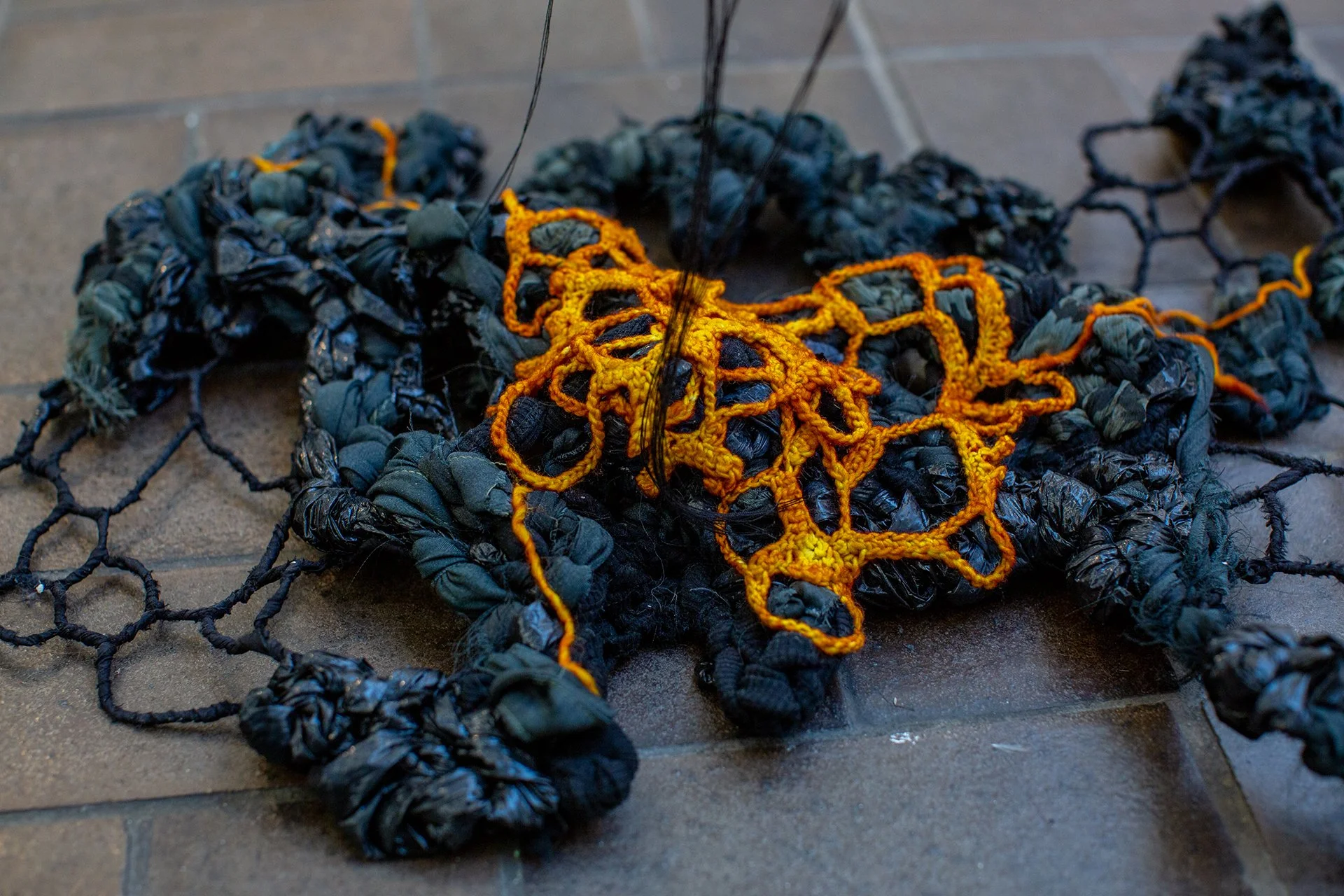 1Mallory at Muhlenberg-148.jpg