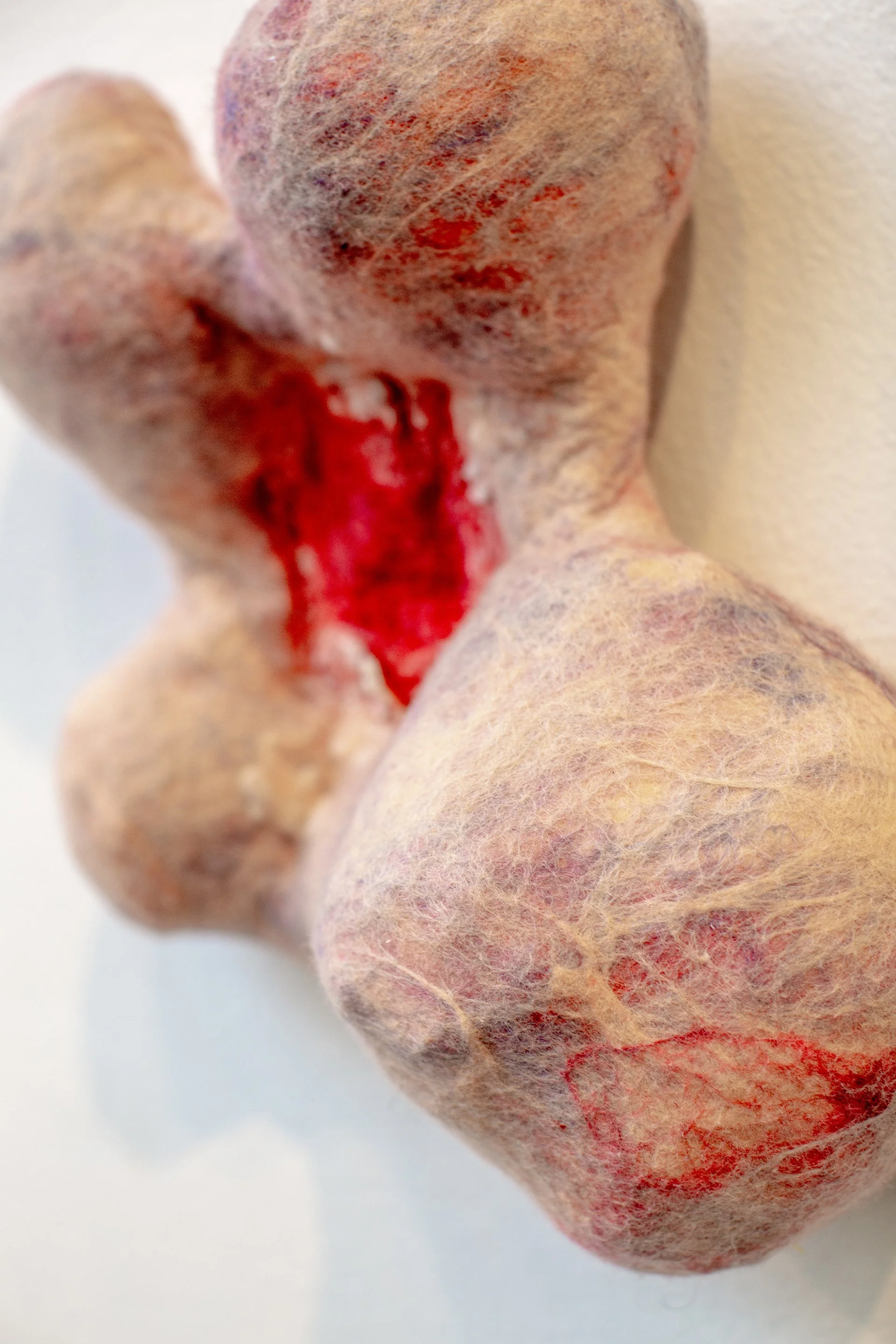 1Mallory at Muhlenberg-247.jpg