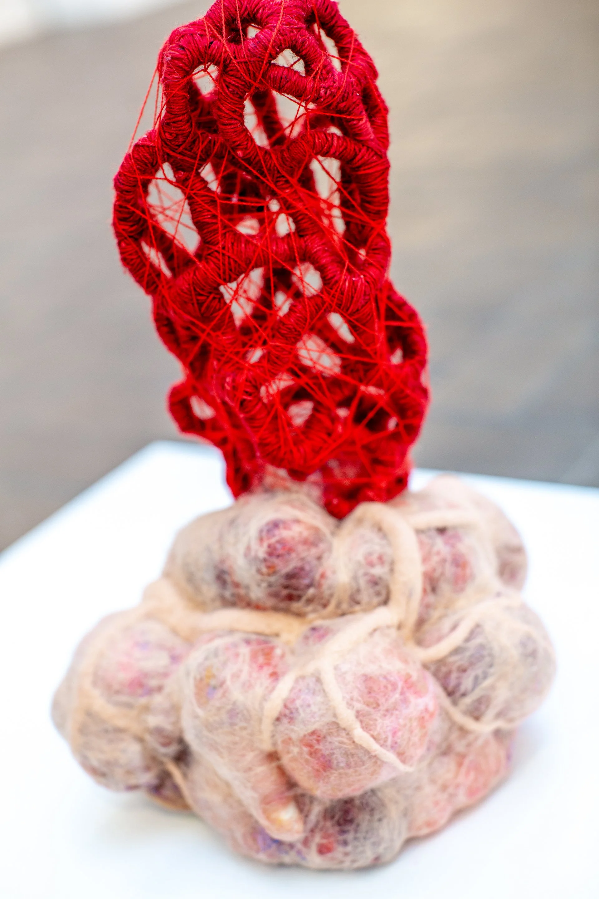 1Mallory at Muhlenberg-276.jpg