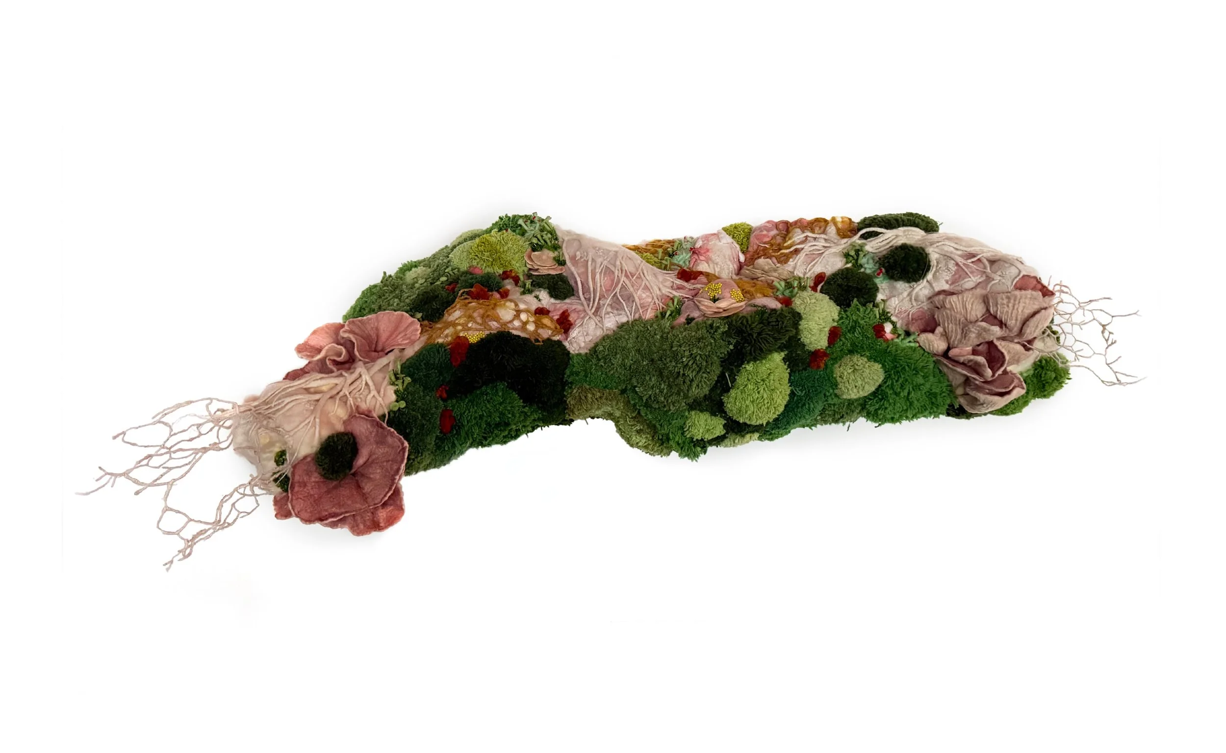 reclaim half2 copy.jpeg