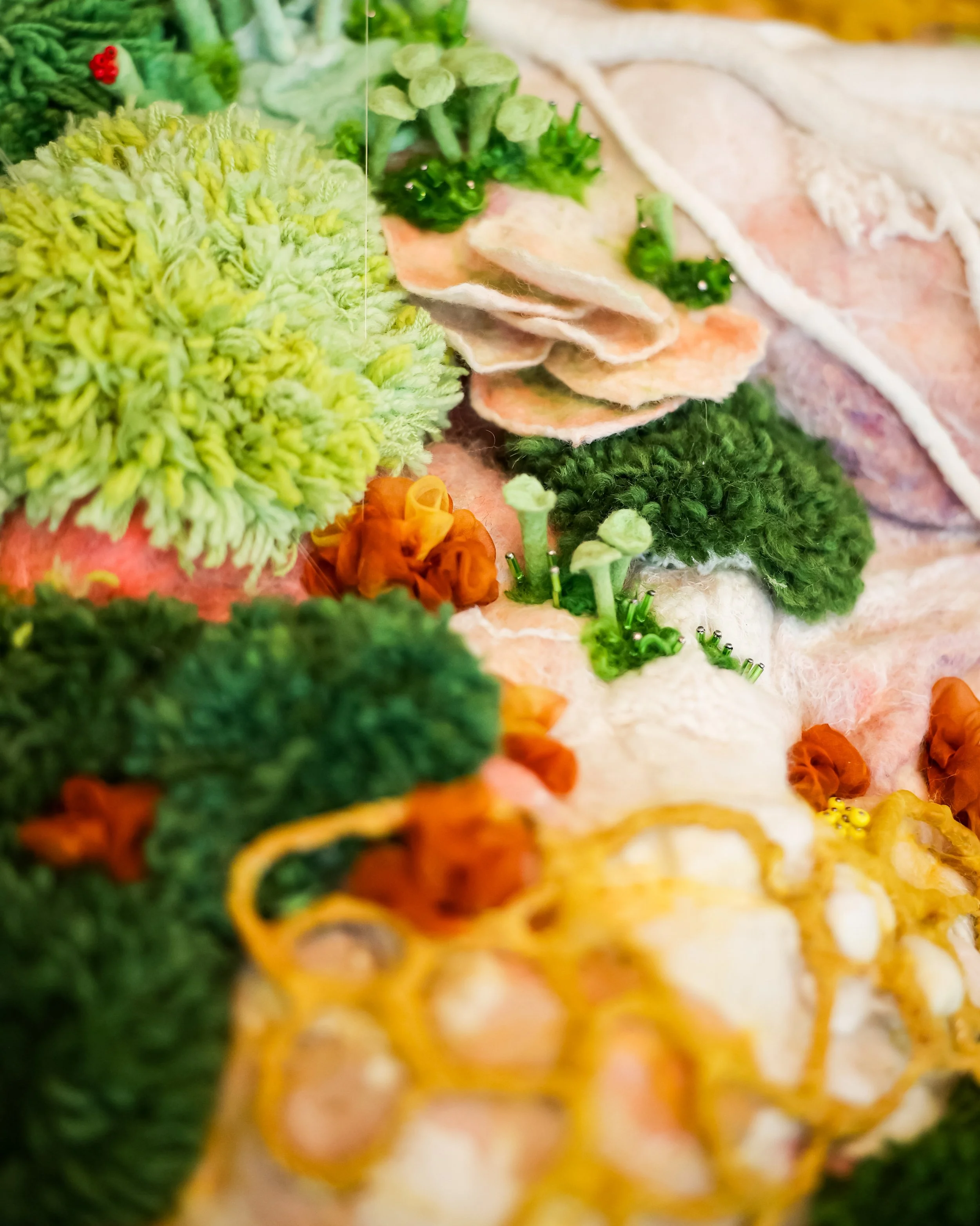 Photo Jul 11 2024, 5 28 04 PM.jpg