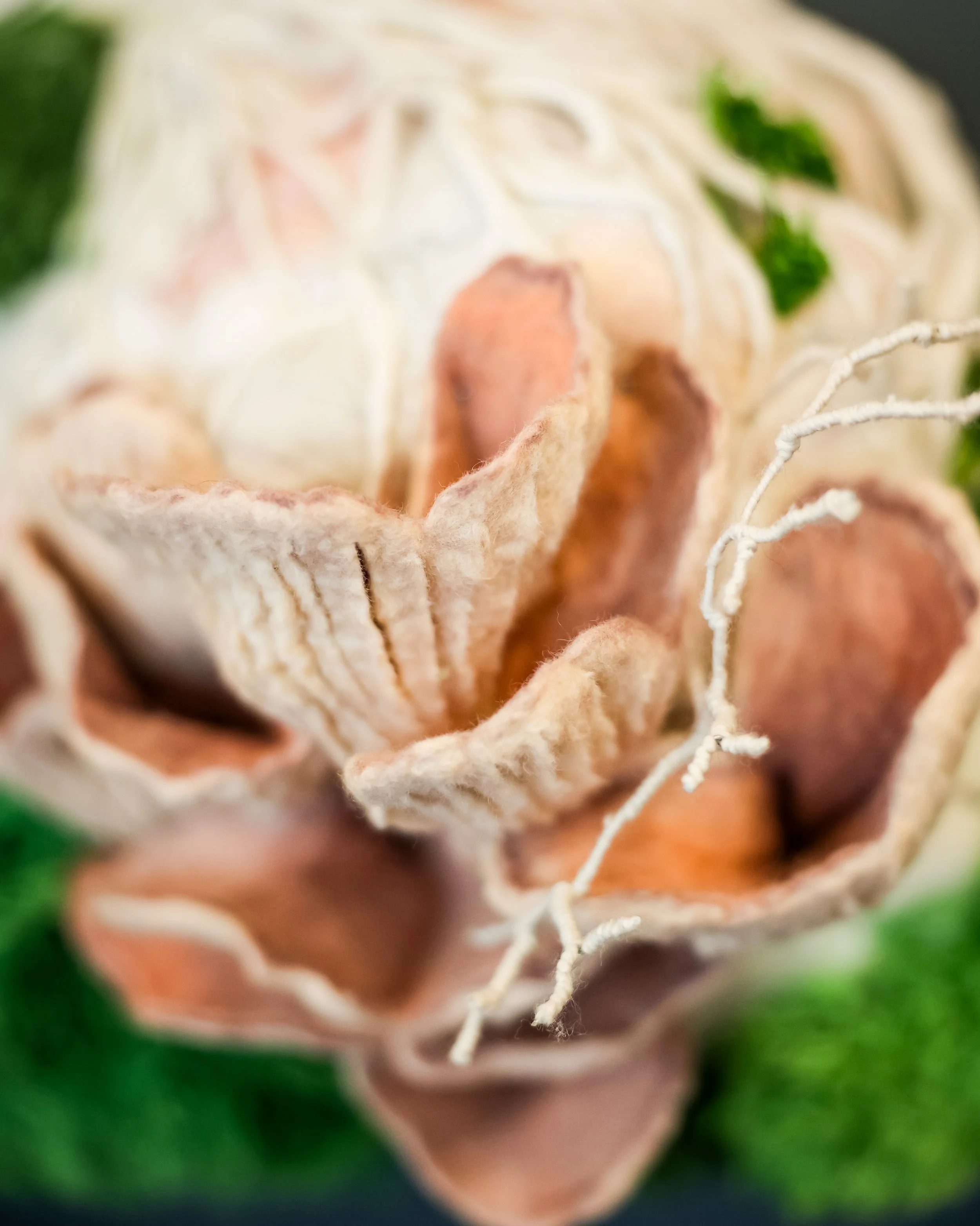 Photo Jul 11 2024, 5 28 15 PM.jpg