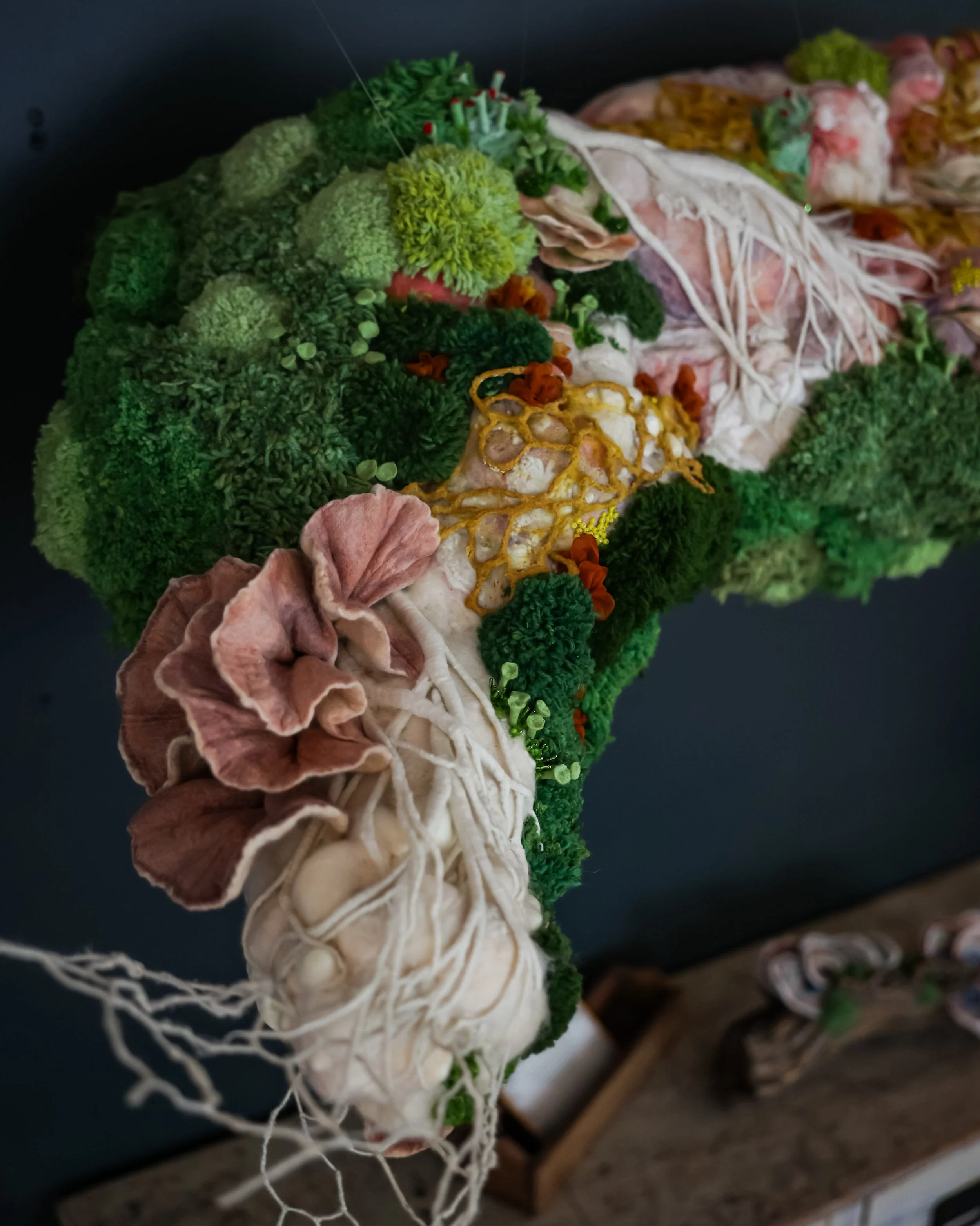 Photo Jul 11 2024, 5 41 08 PM.jpg