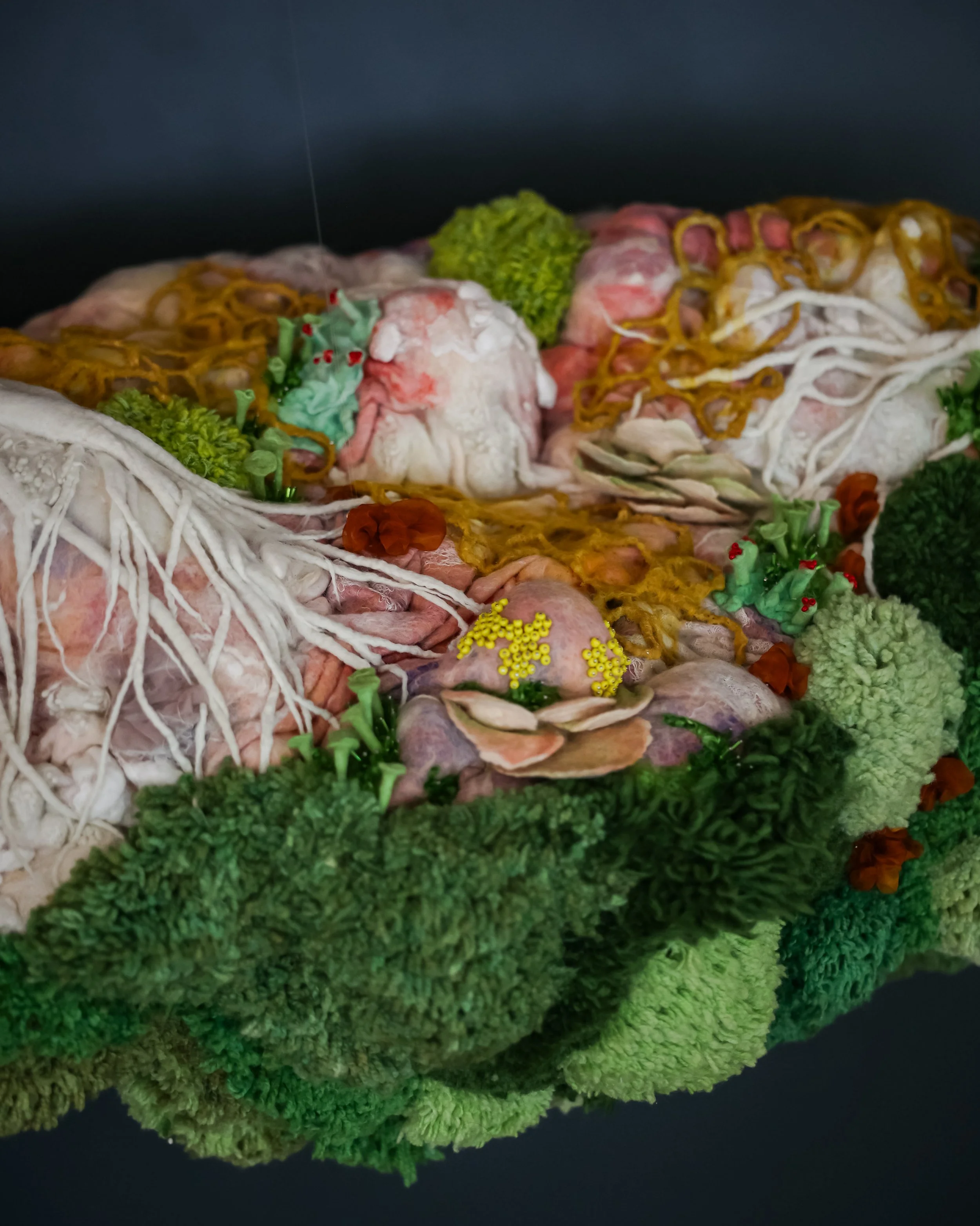 Photo Jul 11 2024, 5 41 38 PM.jpg