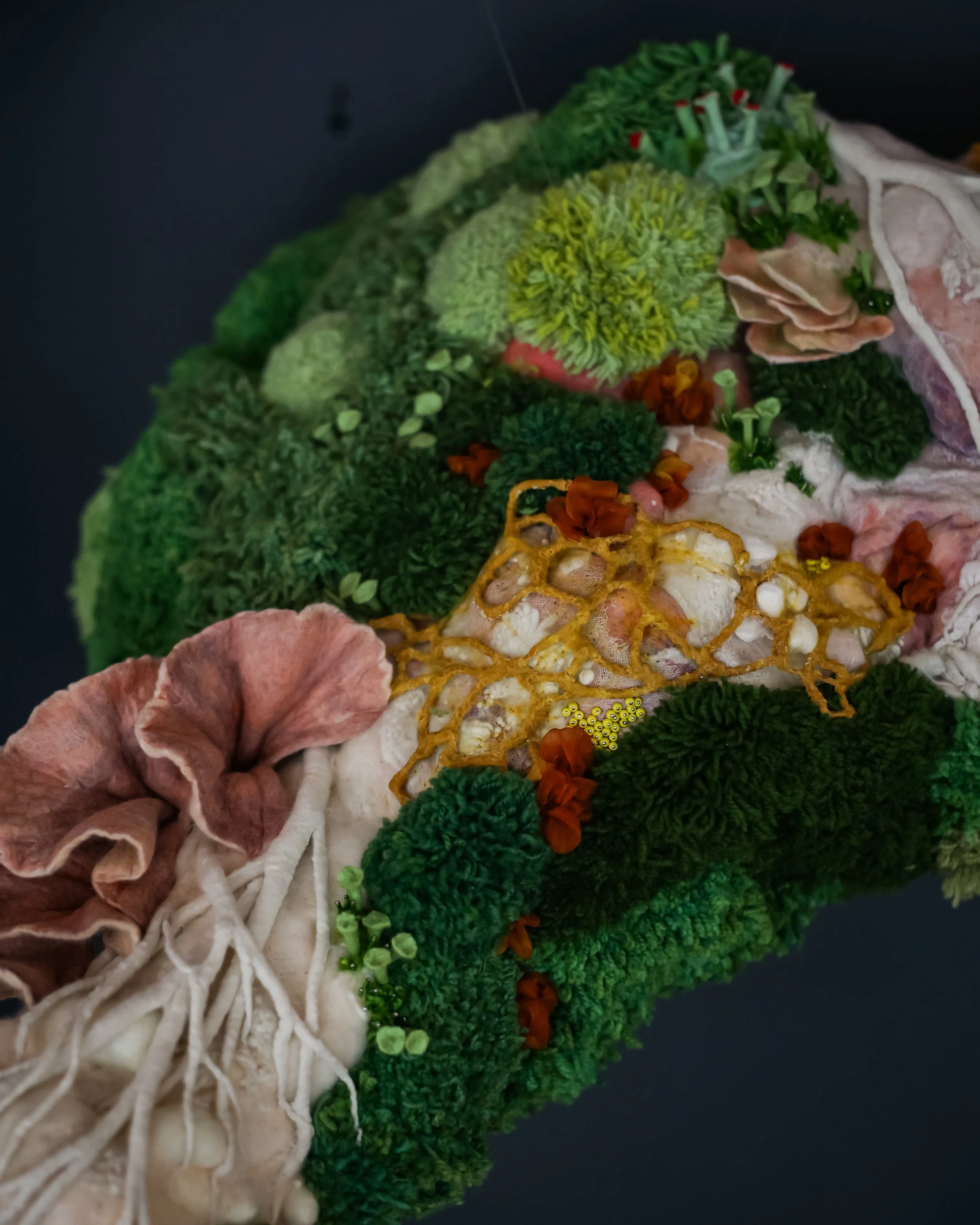 Photo Jul 11 2024, 5 41 42 PM.jpg