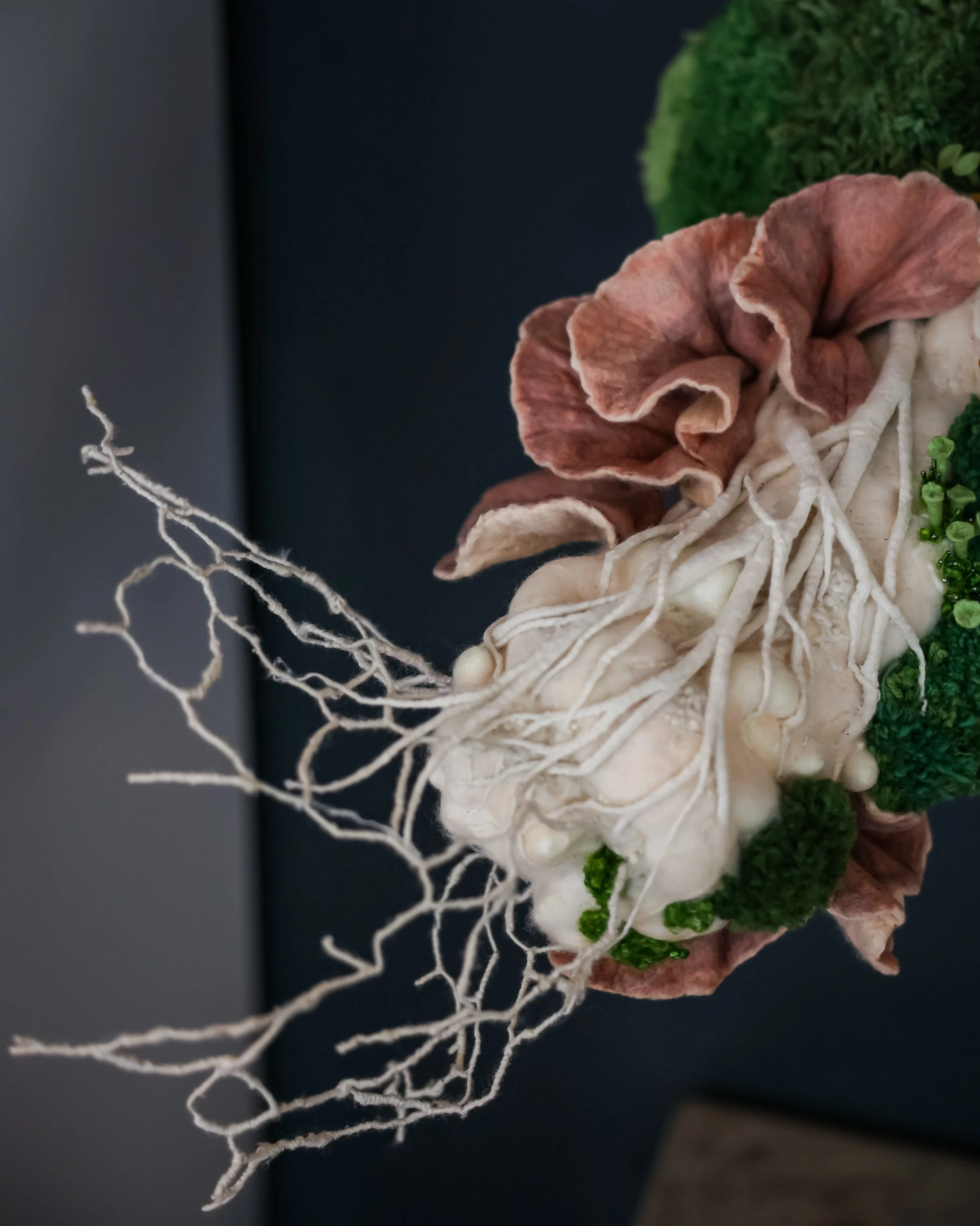 Photo Jul 11 2024, 5 41 47 PM.jpg