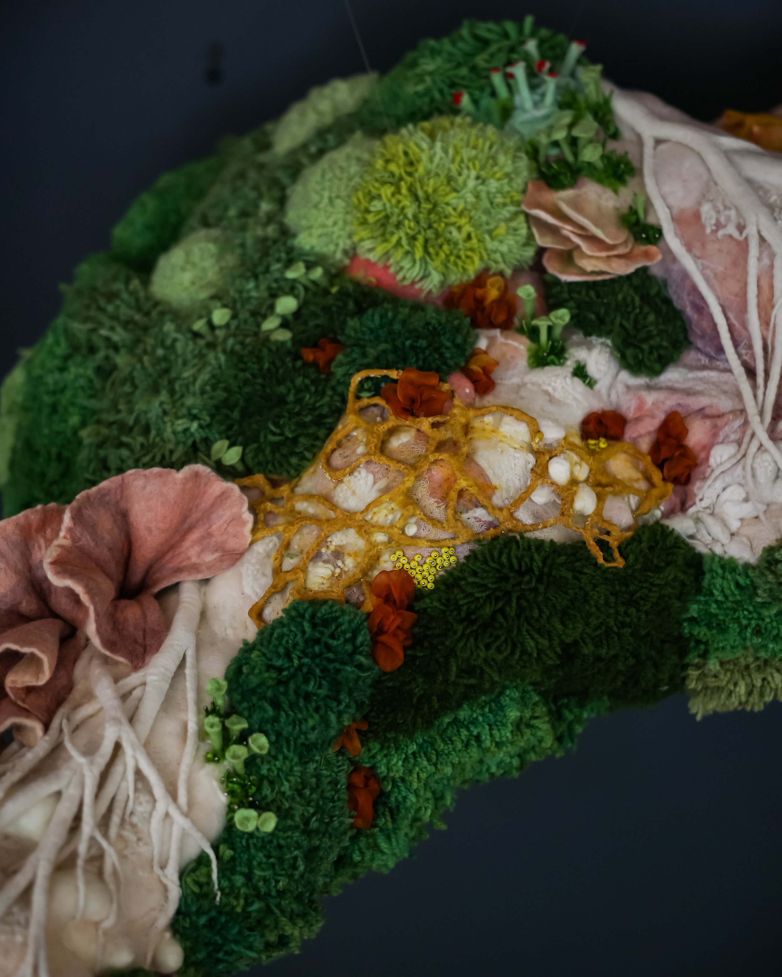 Photo Jul 11 2024, 5 41 49 PM.jpg