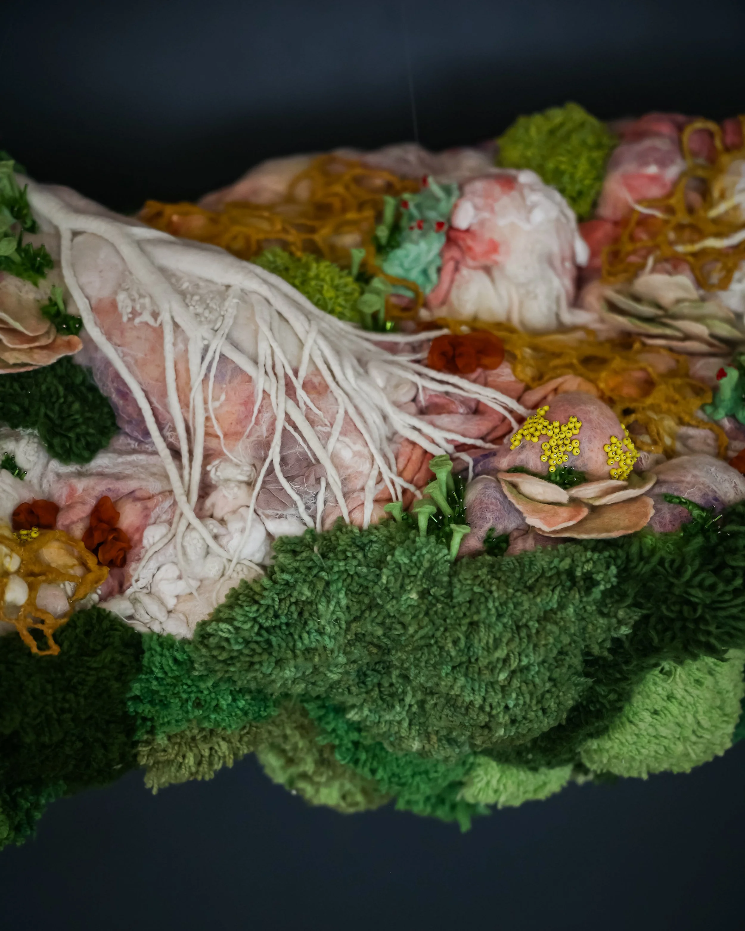 Photo Jul 11 2024, 5 41 51 PM.jpg