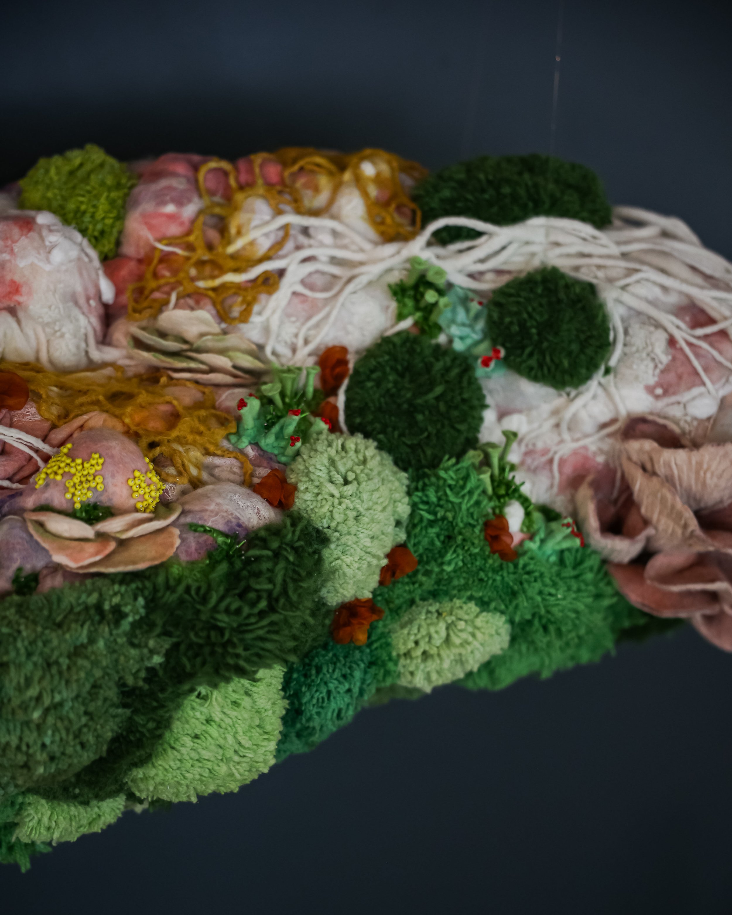 Photo Jul 11 2024, 5 41 52 PM.jpg