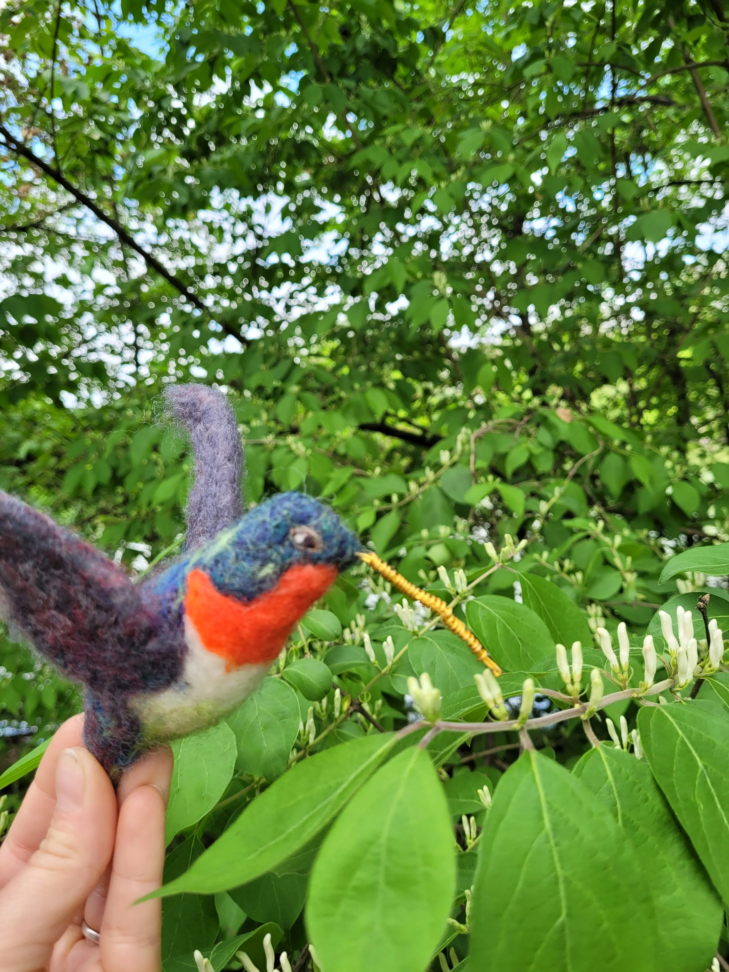 Needle Felted Birds @Green Mountain Yarn and Fiber