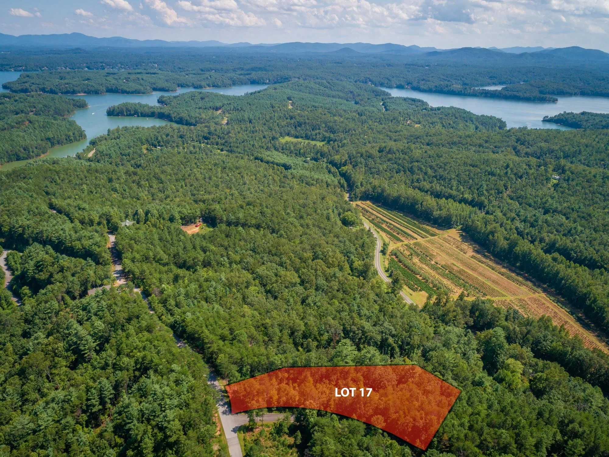 Pisgah Preserve Lot 17-6.jpg